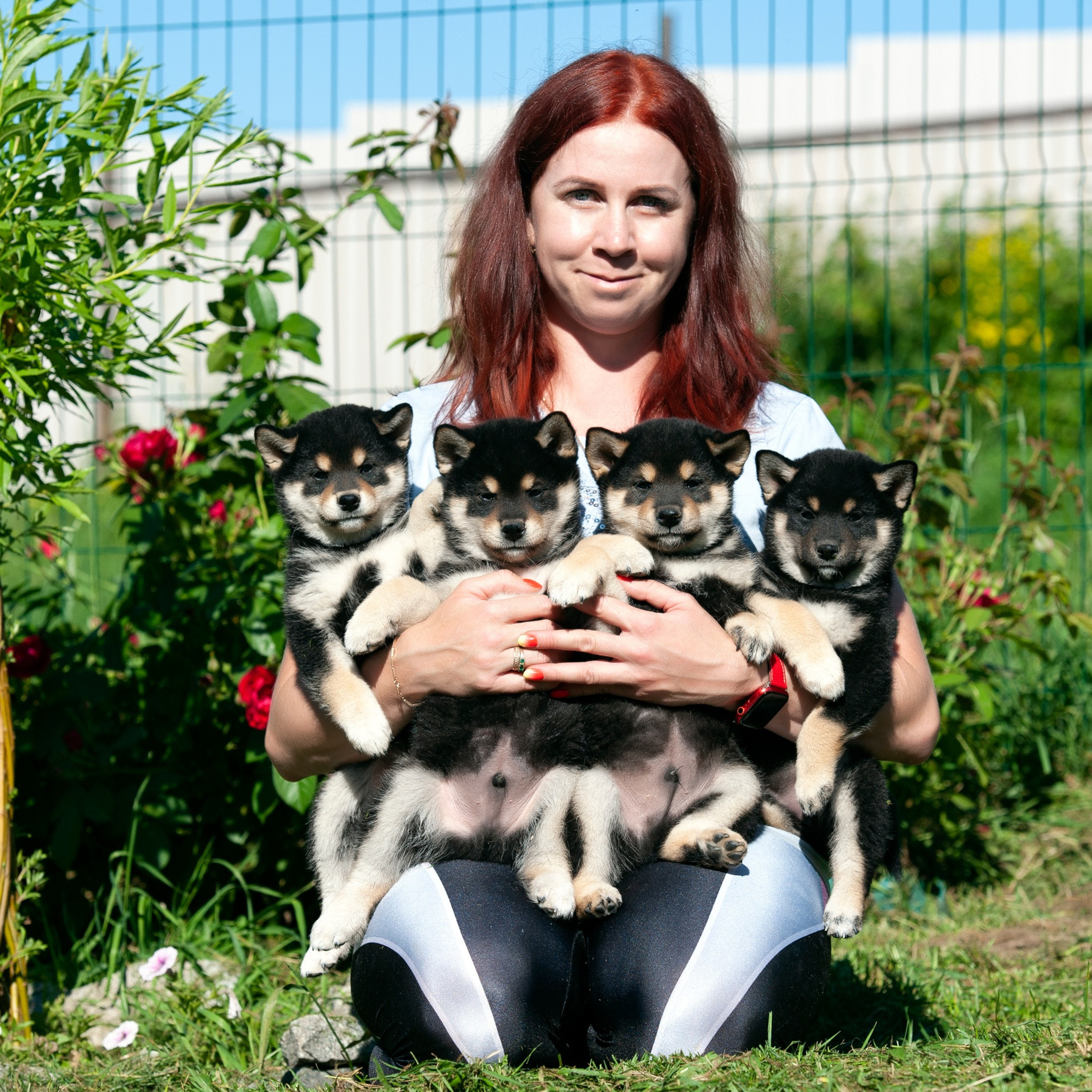 Татьяна Кауфман - отзывы о фотосессия. Фотограф Анималист из Новосибирска Татьяна Кауфман