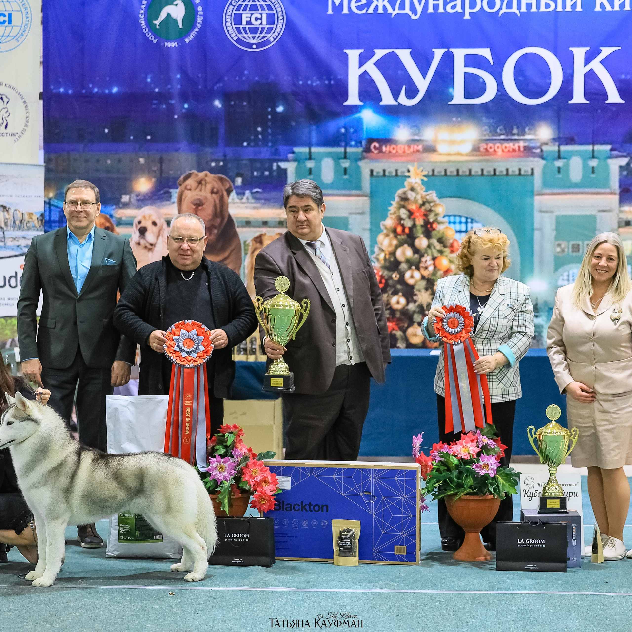 Щенки малых вандейских бассет гриффонов. Фотограф Анималист из Новосибирска Татьяна Кауфман