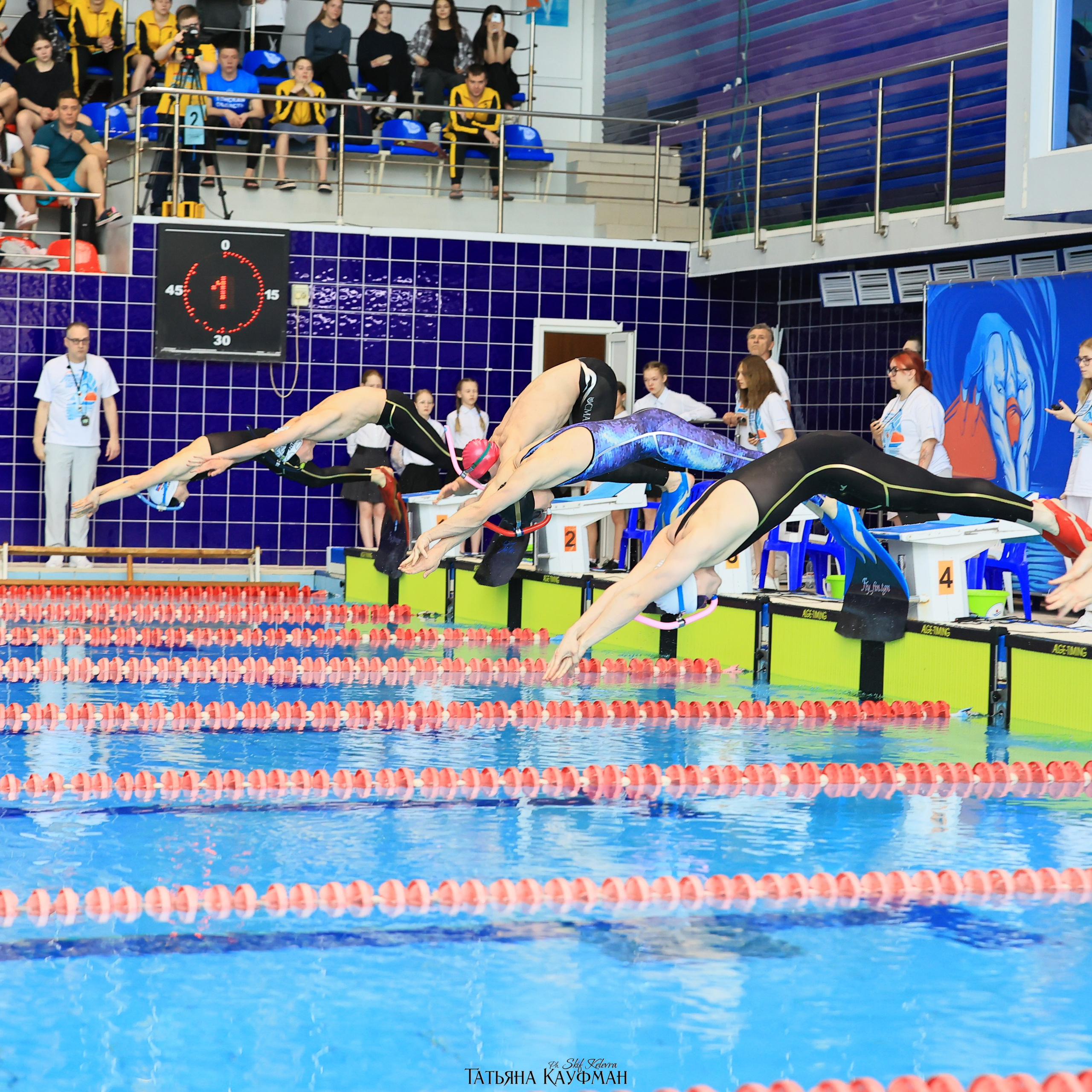 Татьяна Кауфман - отзывы о фотосессия. Фотограф Анималист из Новосибирска Татьяна Кауфман