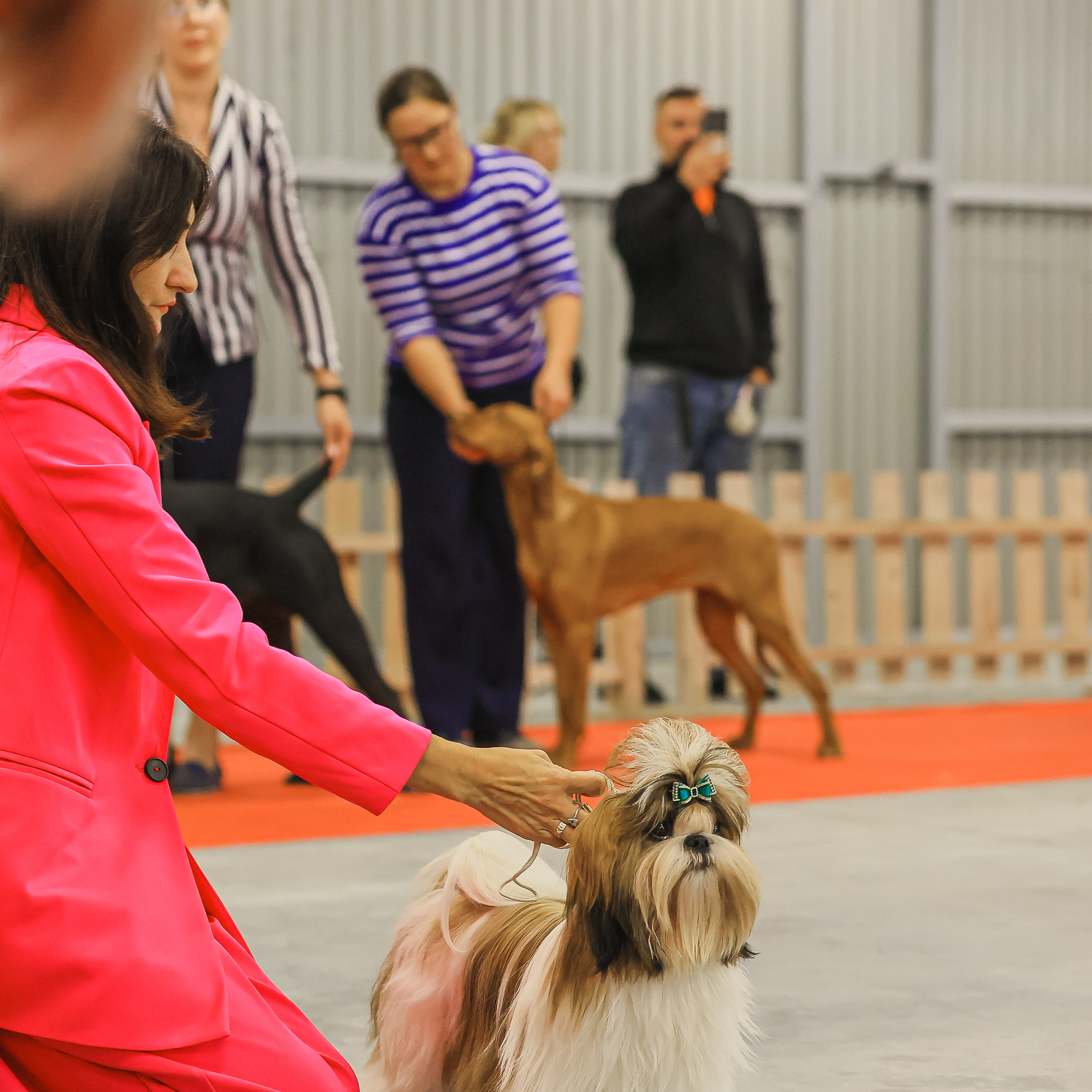Татьяна Кауфман - отзывы о фотосессия. Фотограф Анималист из Новосибирска Татьяна Кауфман