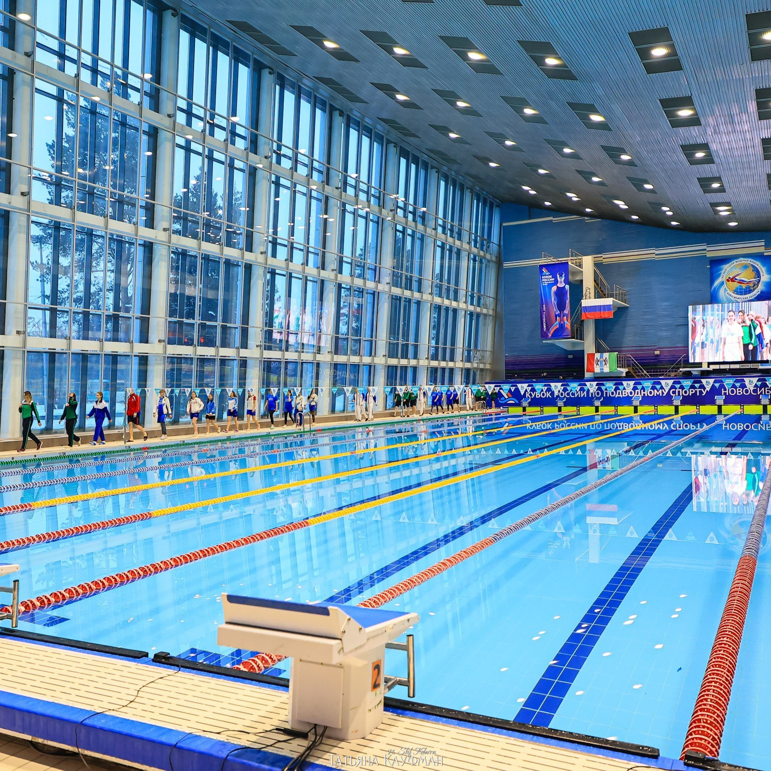 Татьяна Кауфман - отзывы о фотосессия. Фотограф Анималист из Новосибирска Татьяна Кауфман