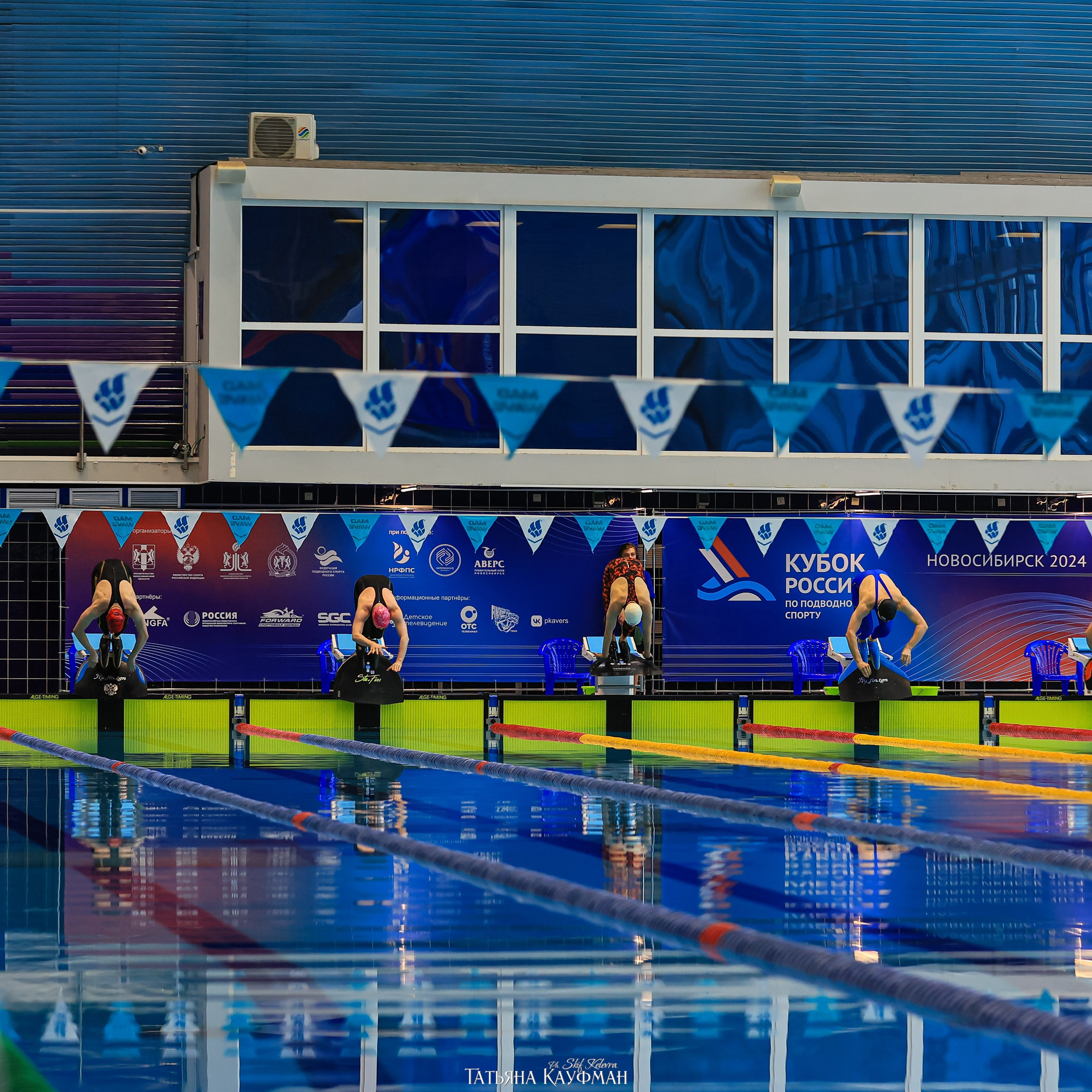 Татьяна Кауфман - отзывы о фотосессия. Фотограф Анималист из Новосибирска Татьяна Кауфман