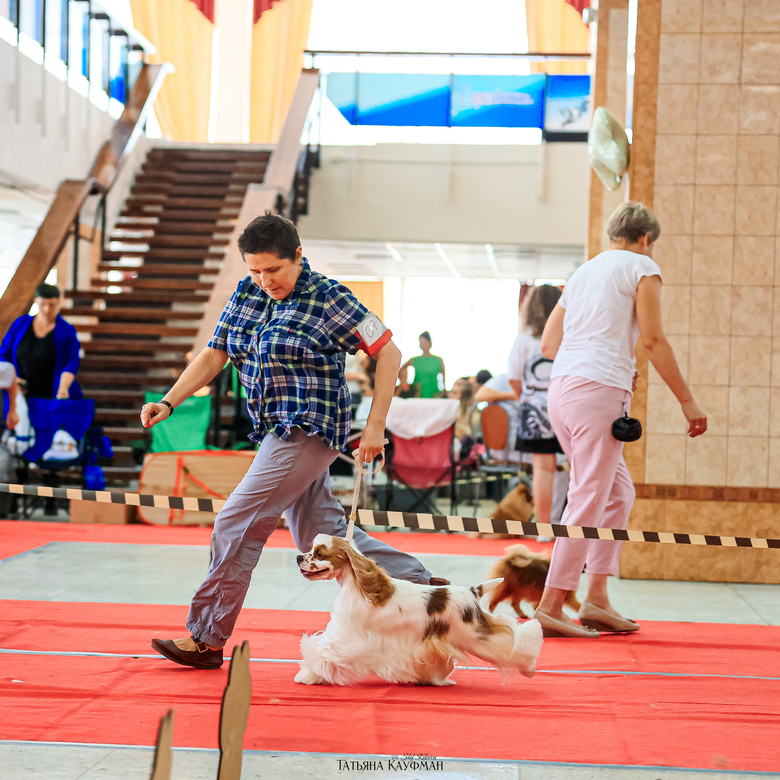 Татьяна Кауфман - отзывы о фотосессия. Фотограф Анималист из Новосибирска Татьяна Кауфман