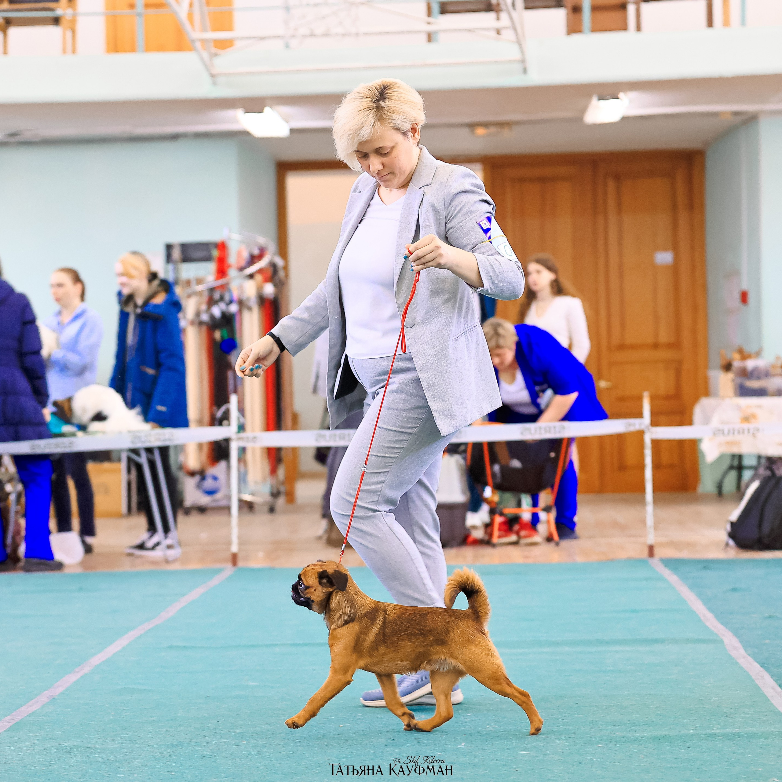 Татьяна Кауфман - отзывы о фотосессия. Фотограф Анималист из Новосибирска Татьяна Кауфман