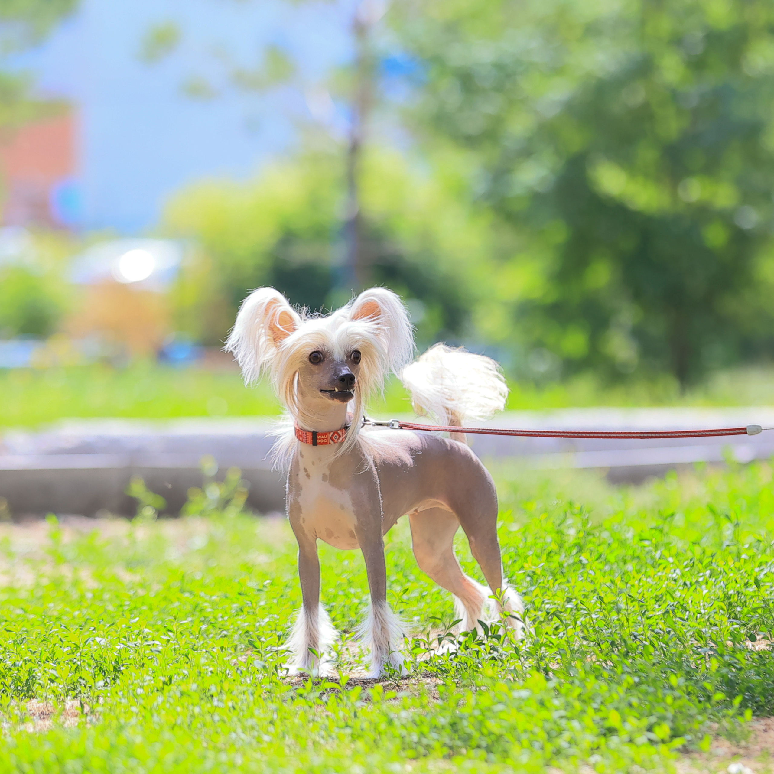 Татьяна Кауфман - отзывы о фотосессия. Фотограф Анималист из Новосибирска Татьяна Кауфман