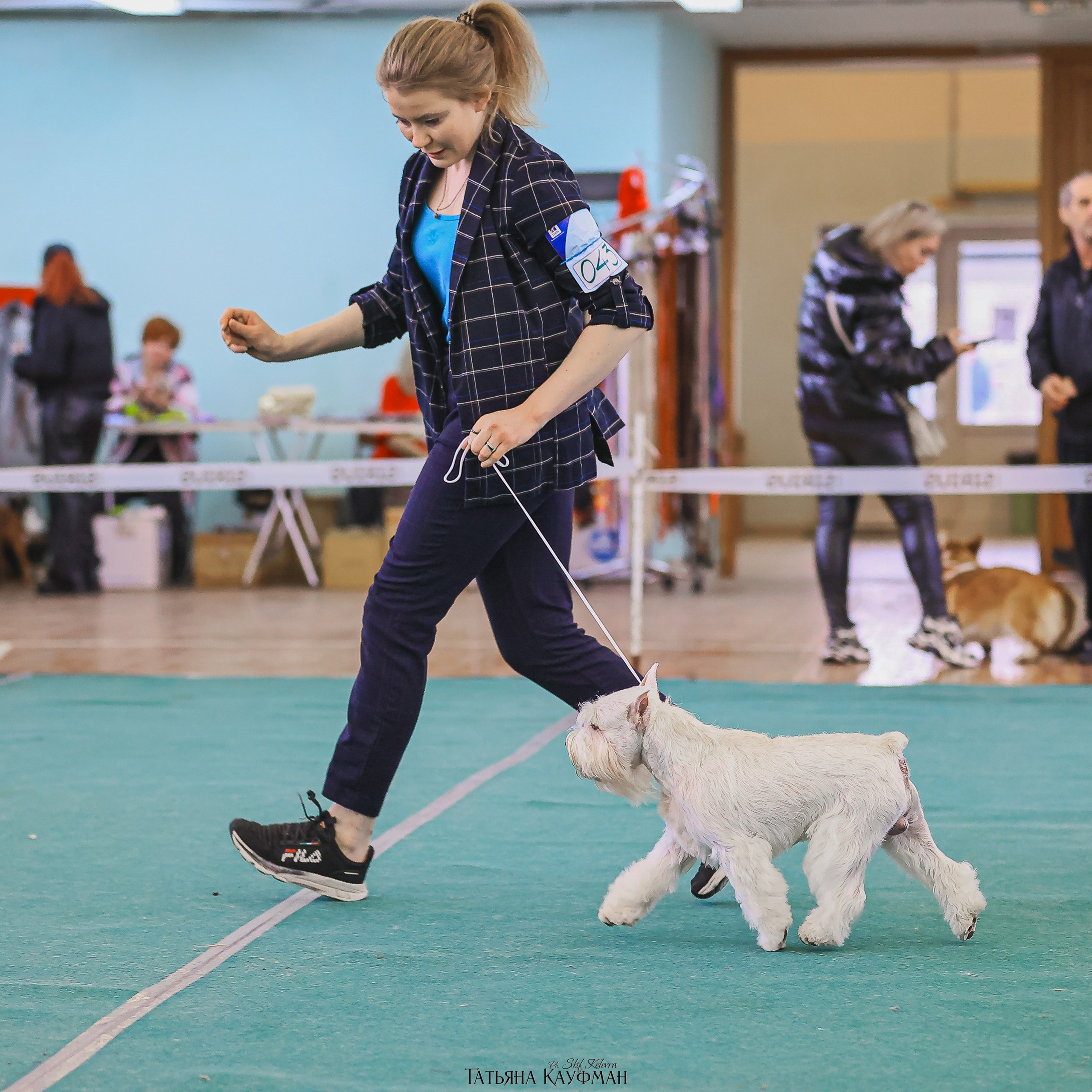 Татьяна Кауфман - отзывы о фотосессия. Фотограф Анималист из Новосибирска Татьяна Кауфман