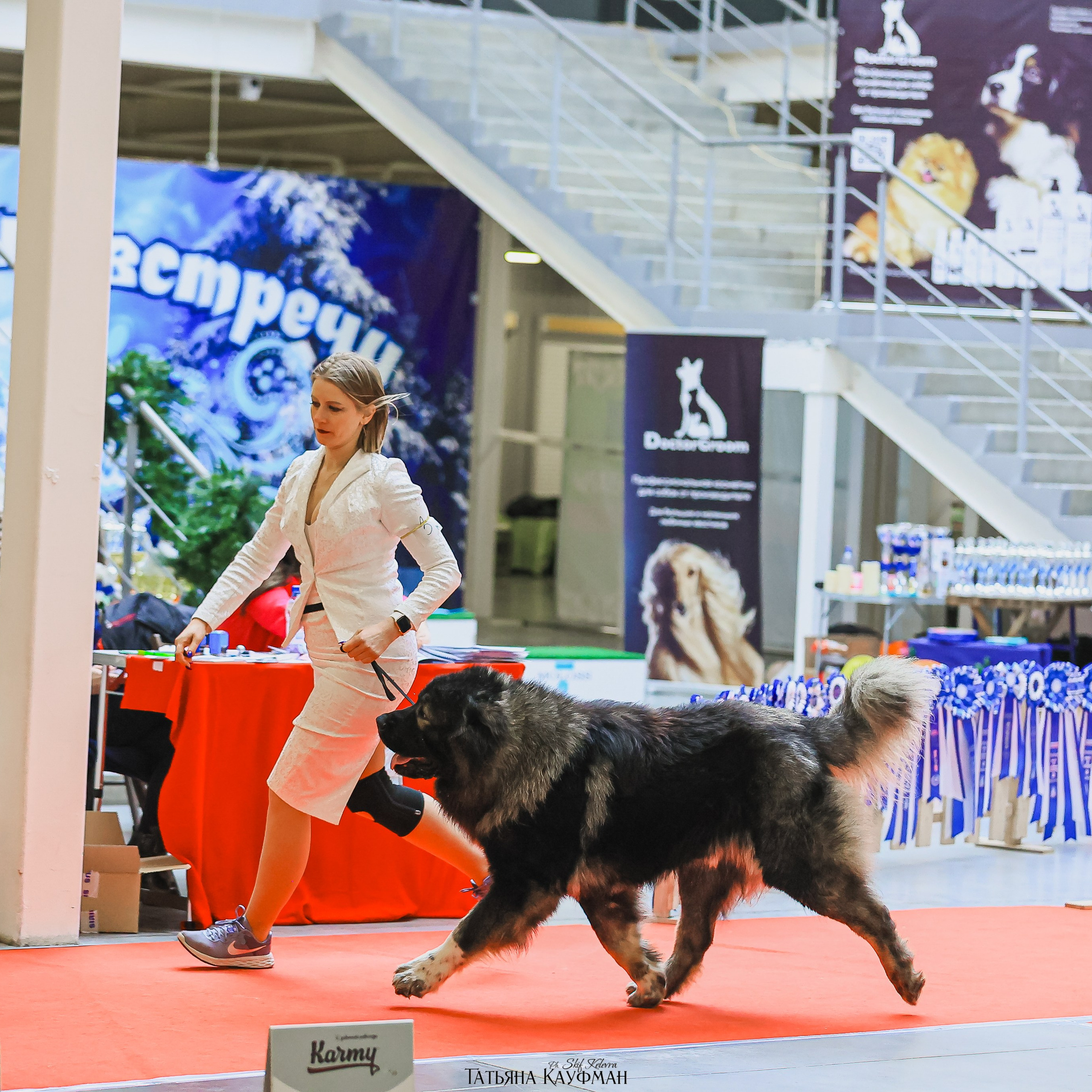 Татьяна Кауфман - отзывы о фотосессия. Фотограф Анималист из Новосибирска Татьяна Кауфман