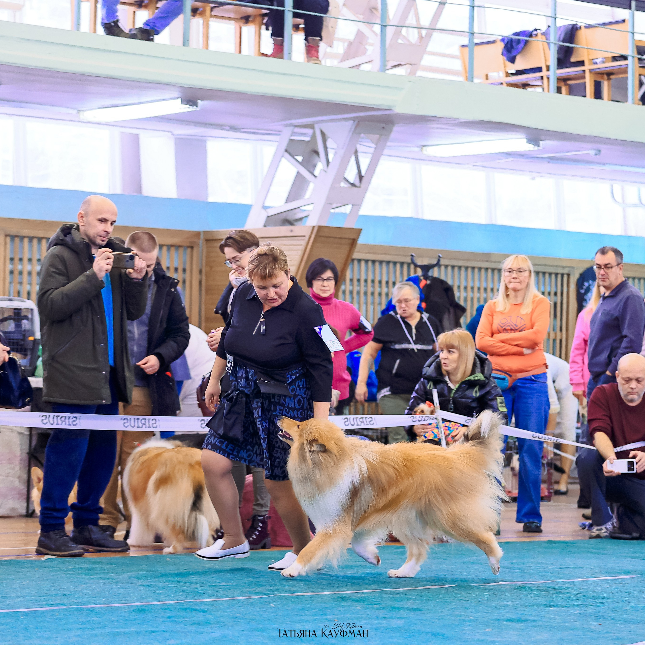 Татьяна Кауфман - отзывы о фотосессия. Фотограф Анималист из Новосибирска Татьяна Кауфман