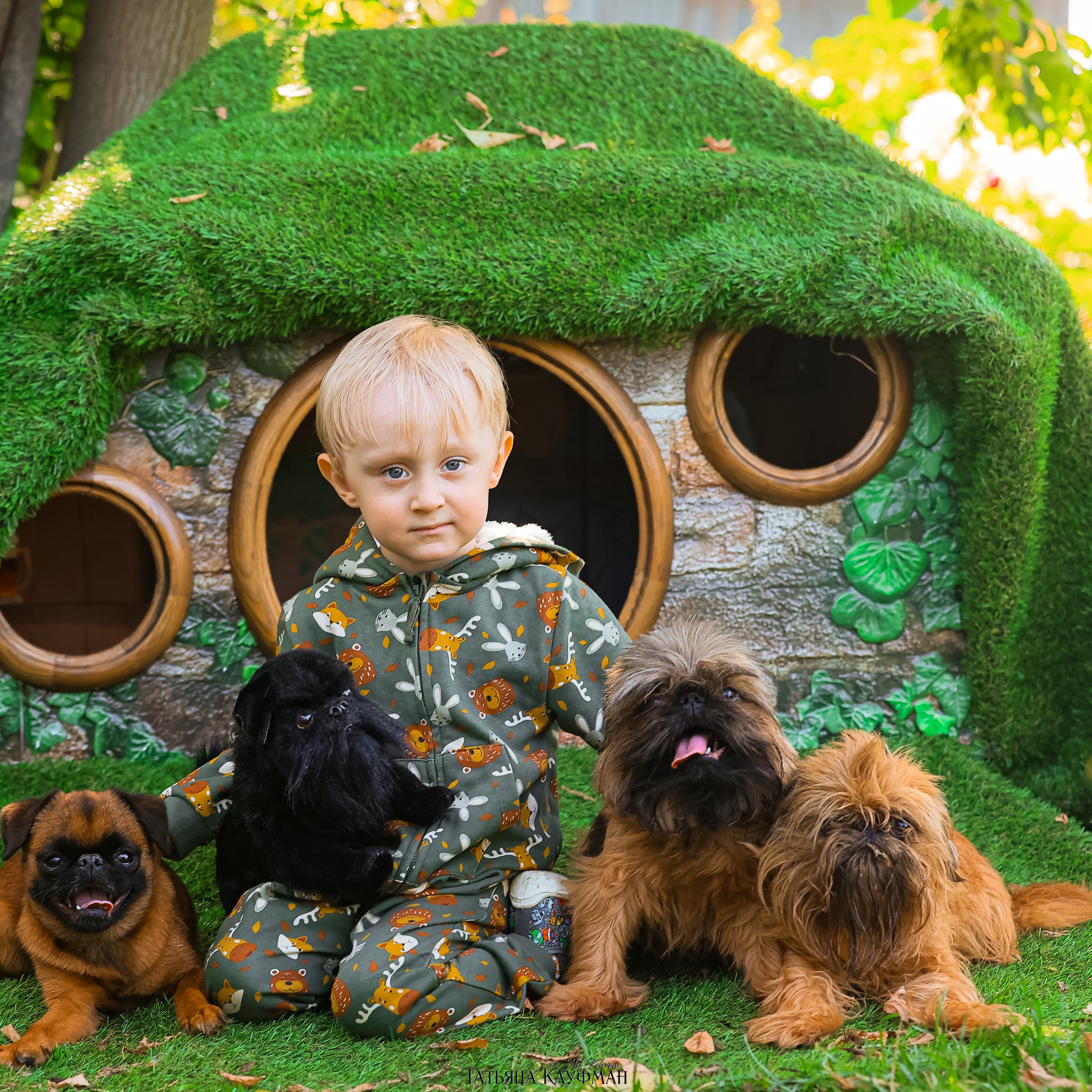 Фотогалерея Татьяны Кауфман. Фотограф Анималист из Новосибирска Татьяна Кауфман