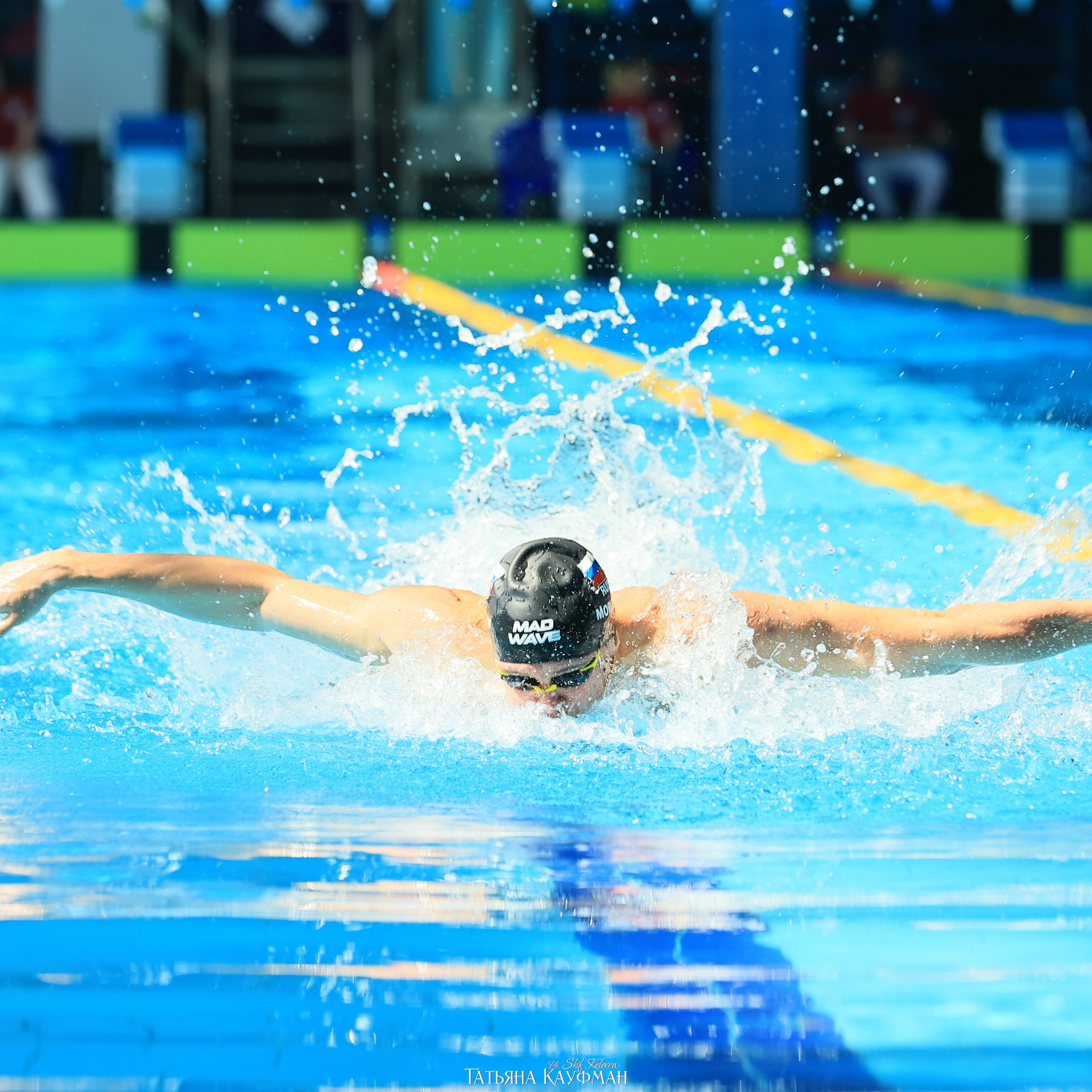 Татьяна Кауфман - отзывы о фотосессия. Фотограф Анималист из Новосибирска Татьяна Кауфман