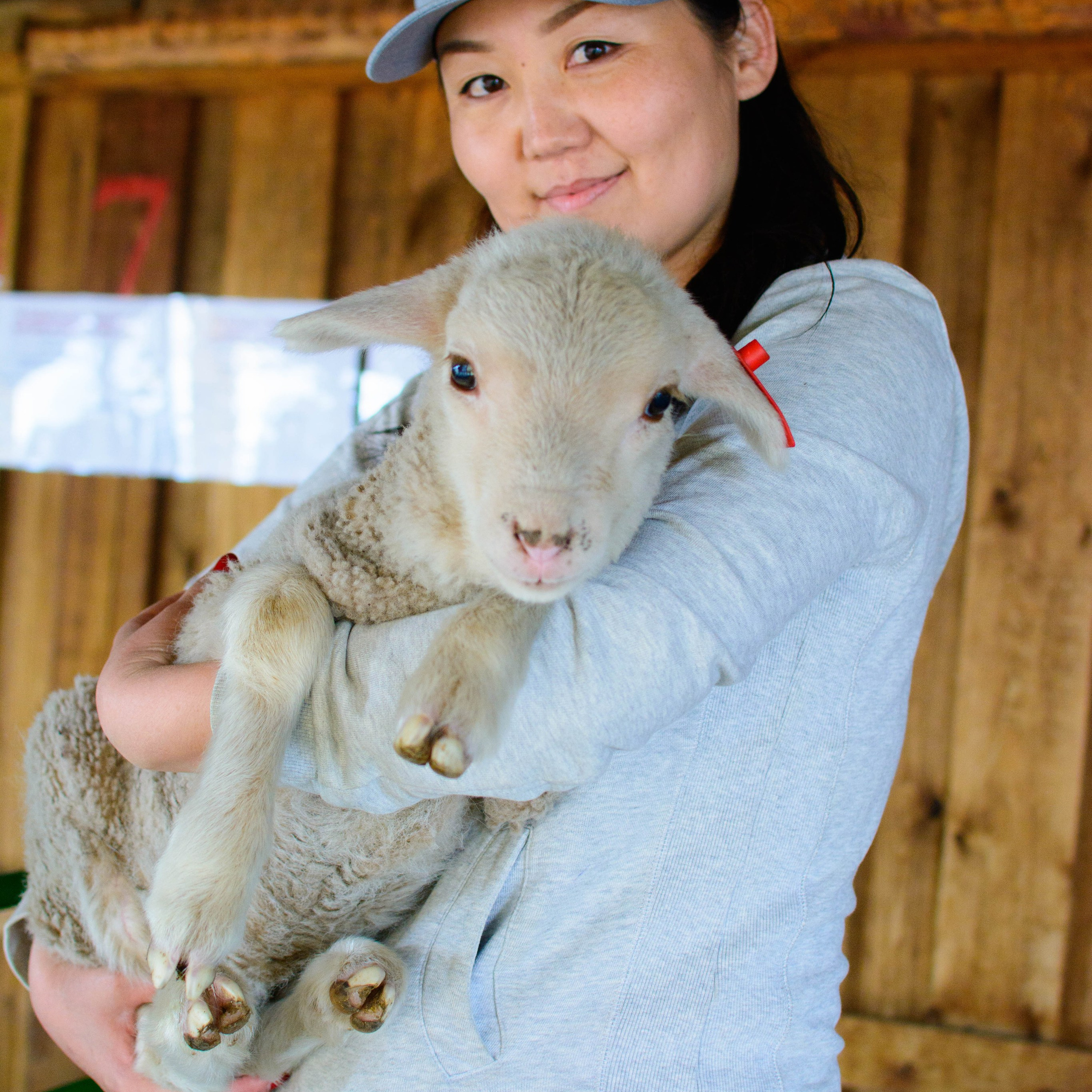 Выставка г. Чита