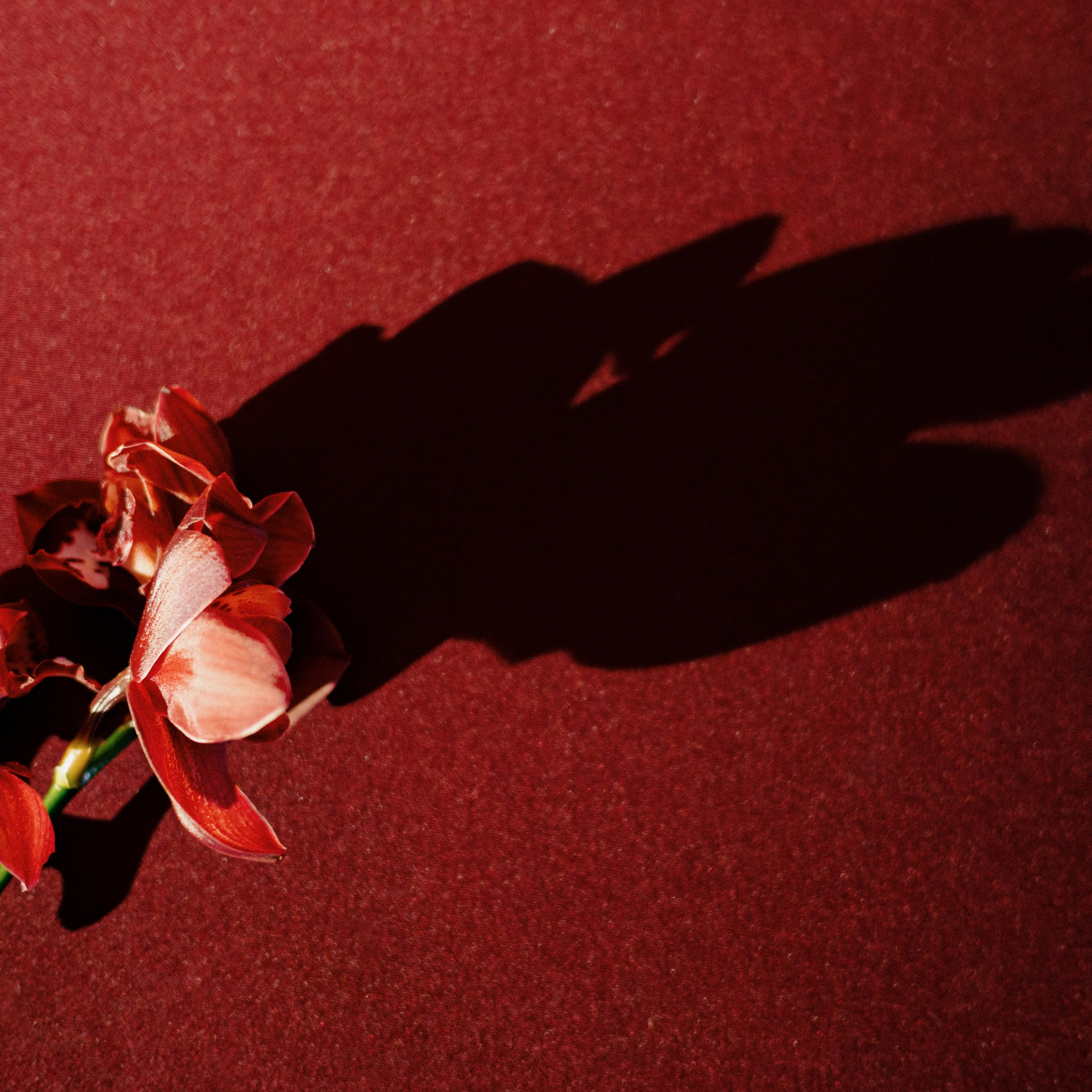 ЖЕНЯ И ДАША