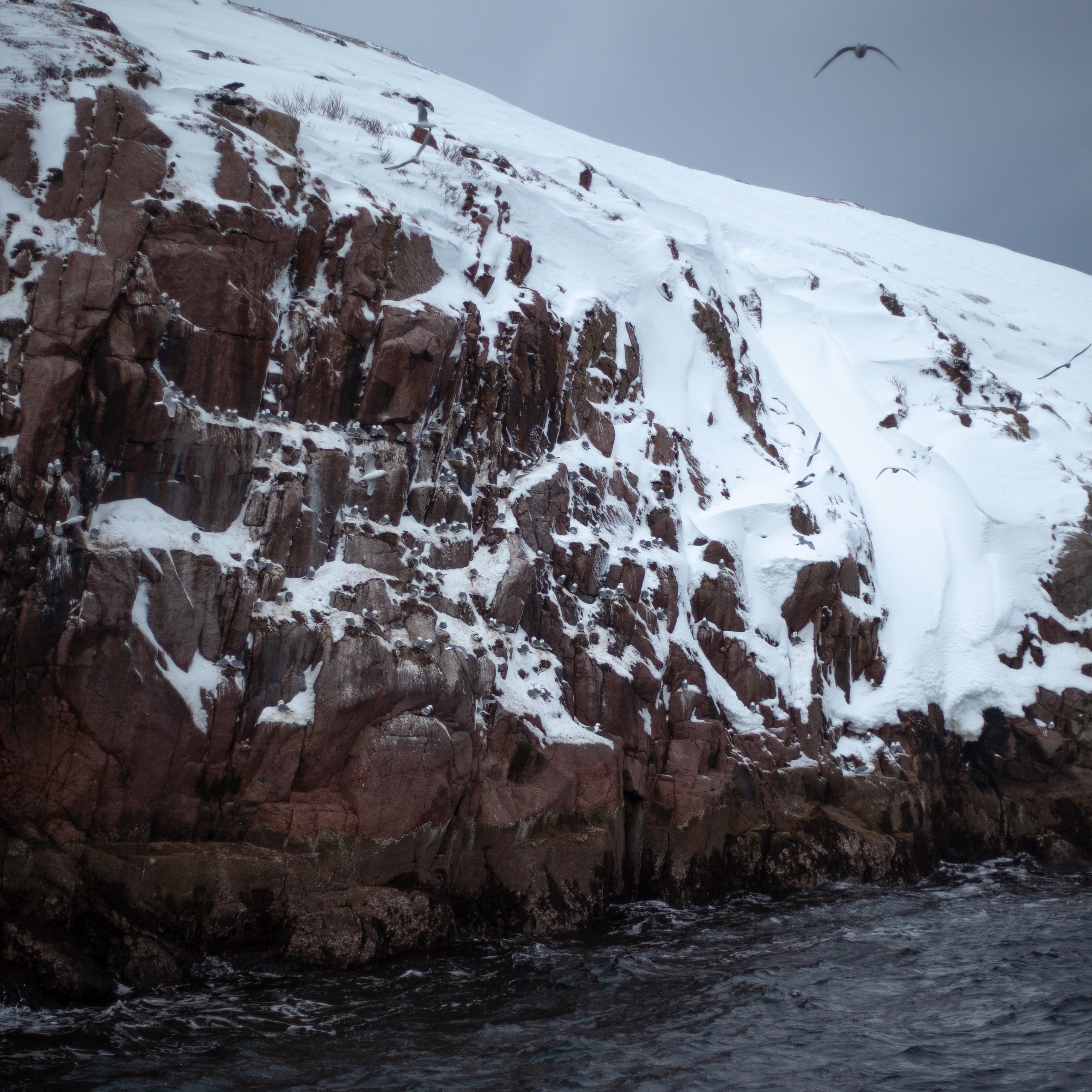 Териберка. Март 2024. Уникальные экспедиции — LUCKY CLAN