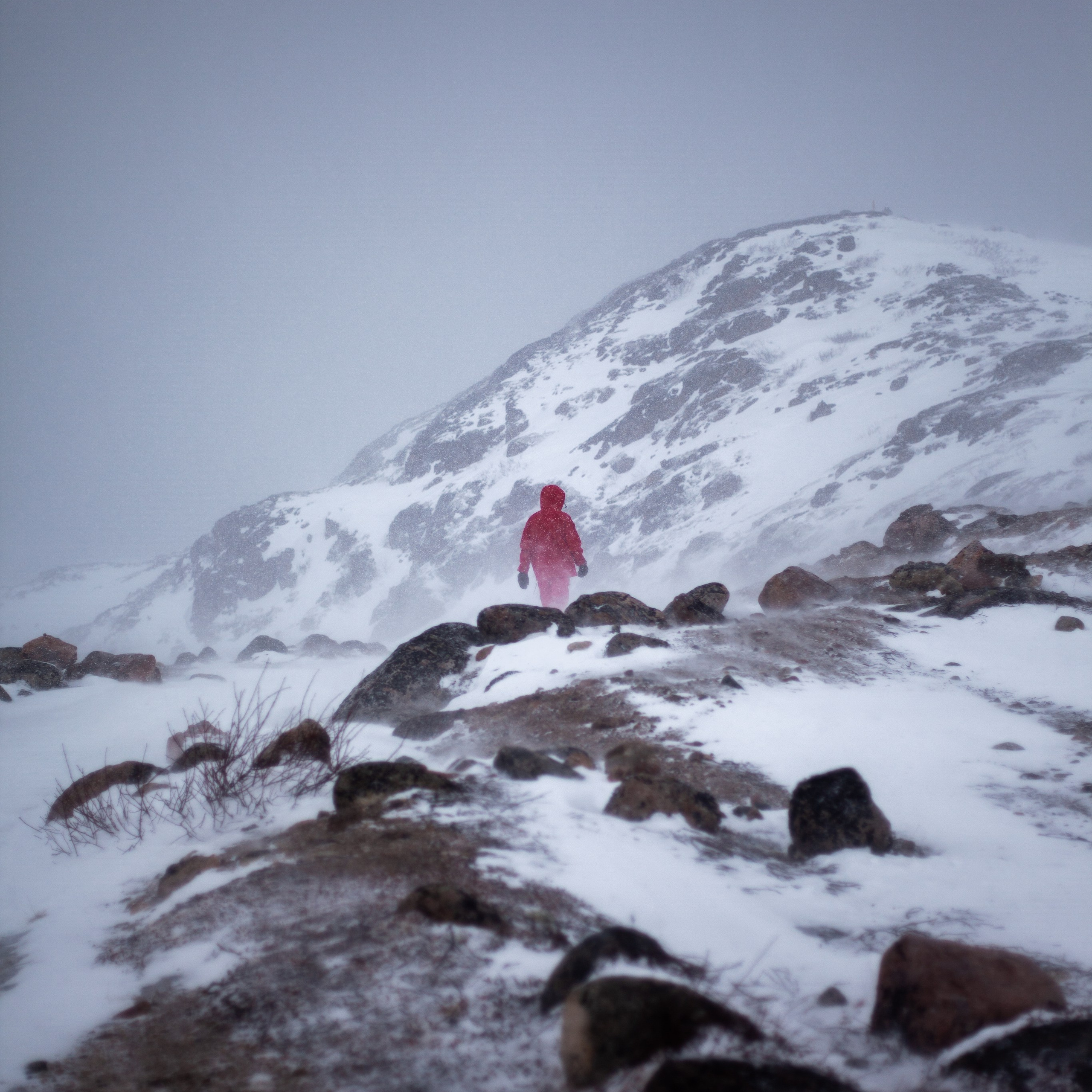 Териберка. Март 2024. Уникальные экспедиции — LUCKY CLAN