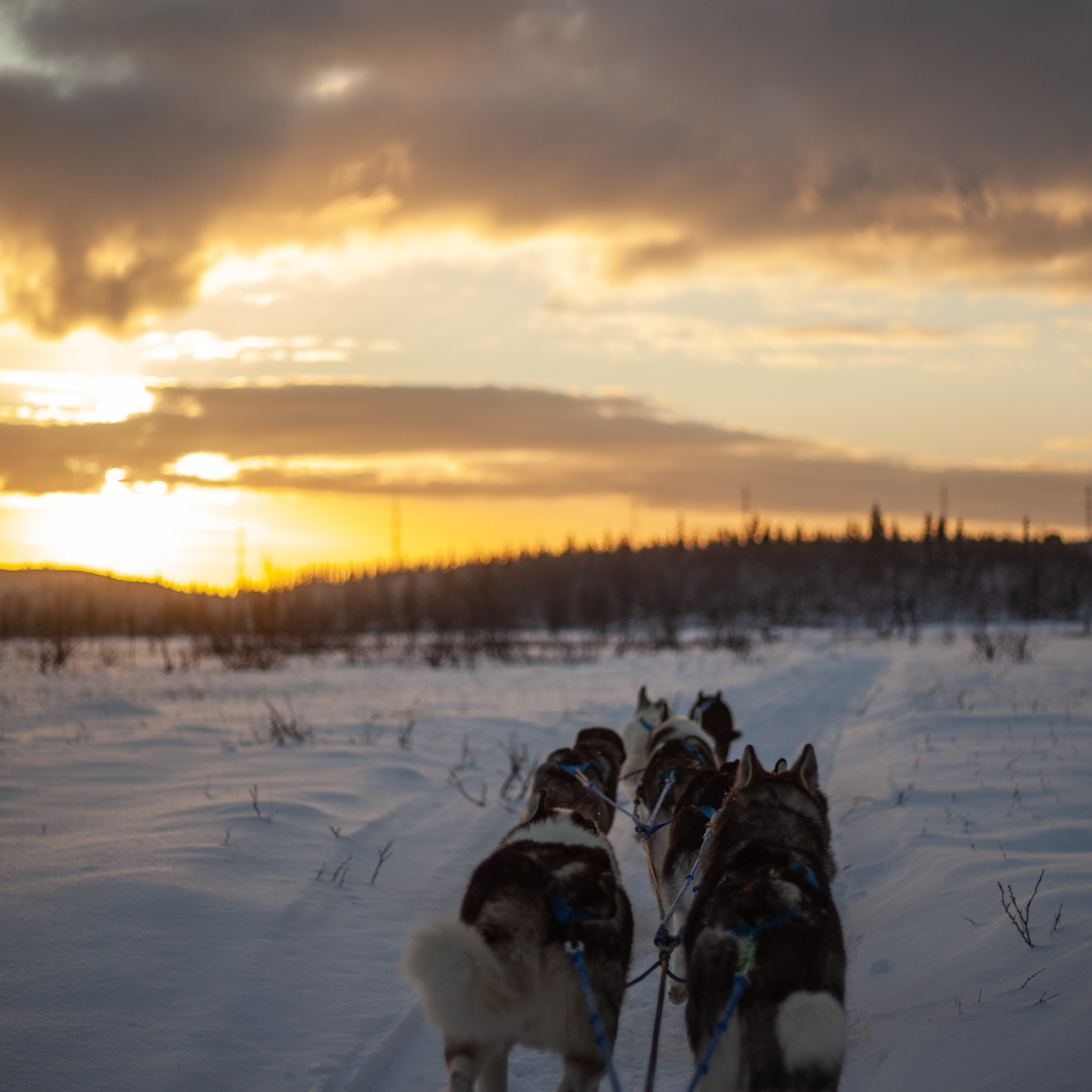Путешествие по Териберке. Северное сияние. Уникальные экспедиции — LUCKY CLAN