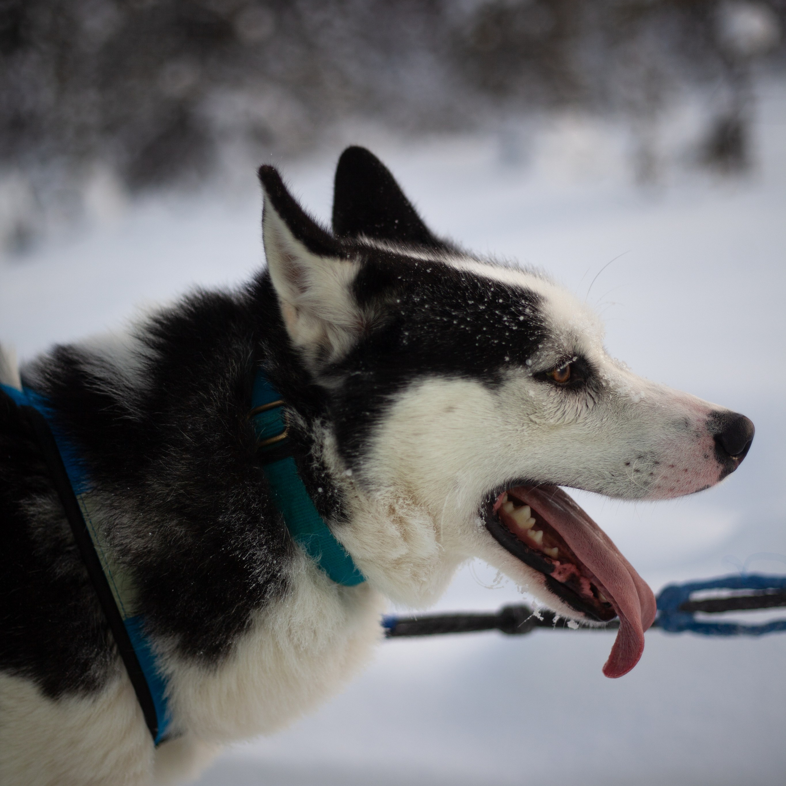 Териберка. Ноябрь 2023. Уникальные экспедиции — LUCKY CLAN