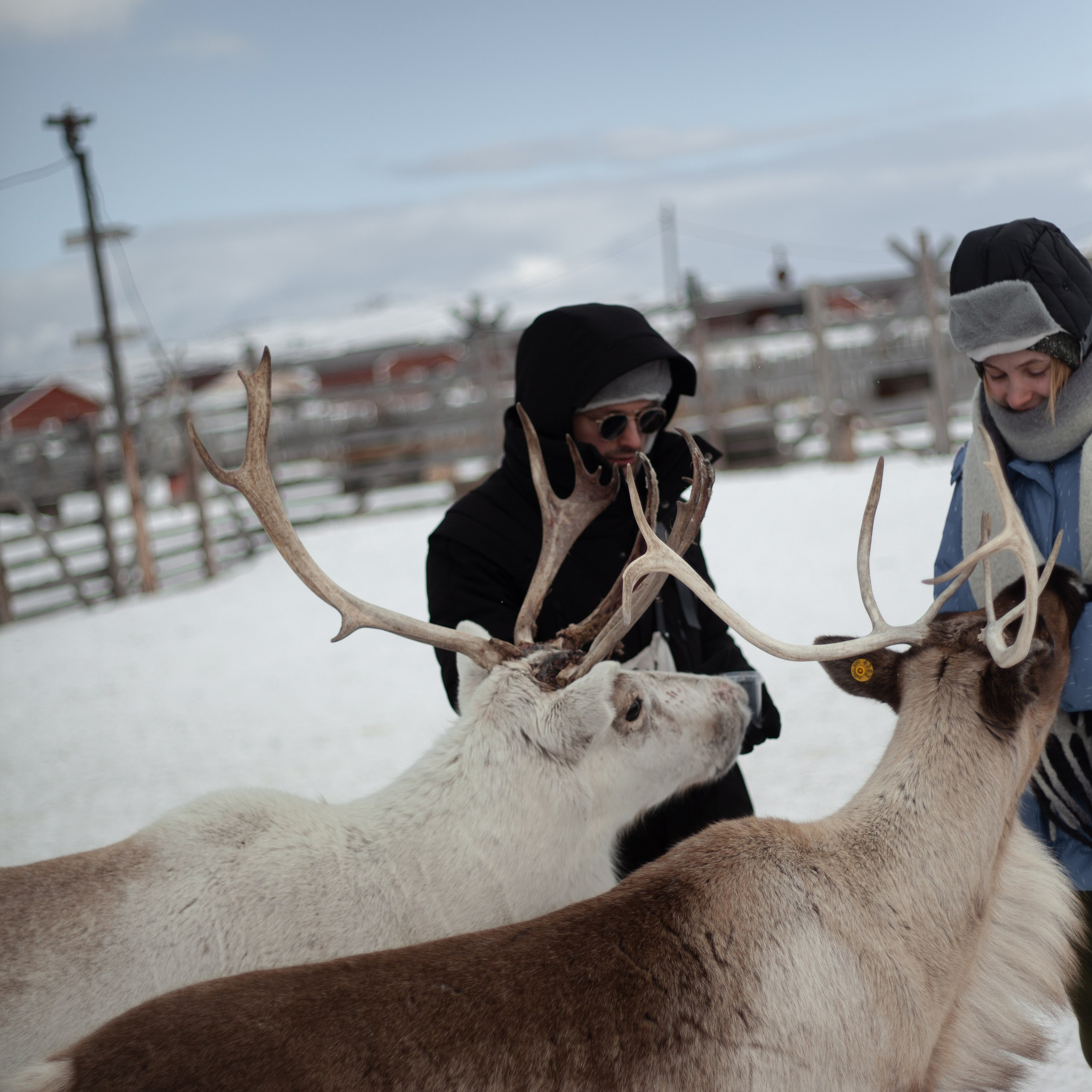Териберка. Март 2024. Уникальные экспедиции — LUCKY CLAN