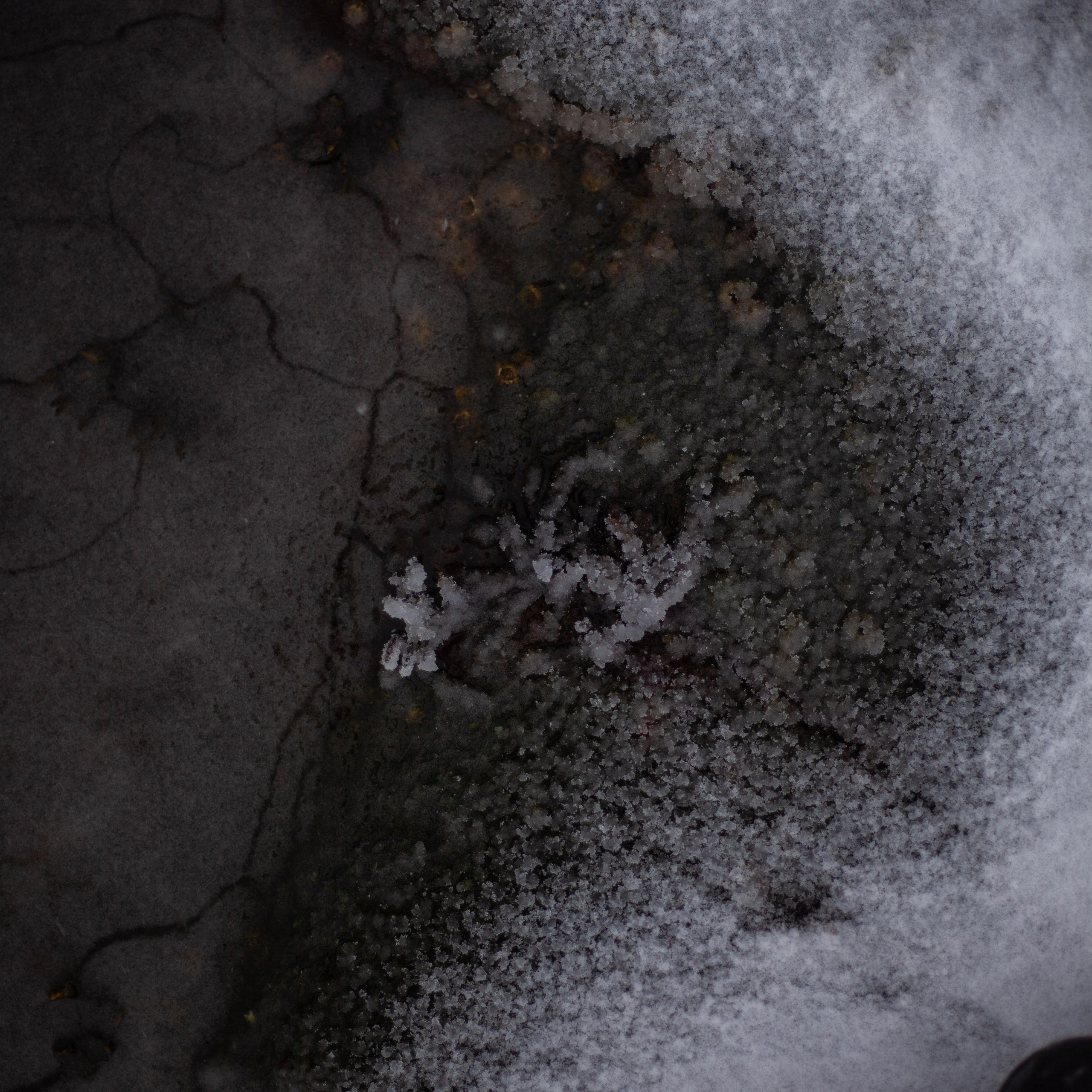 Териберка. Март 2024. Уникальные экспедиции — LUCKY CLAN