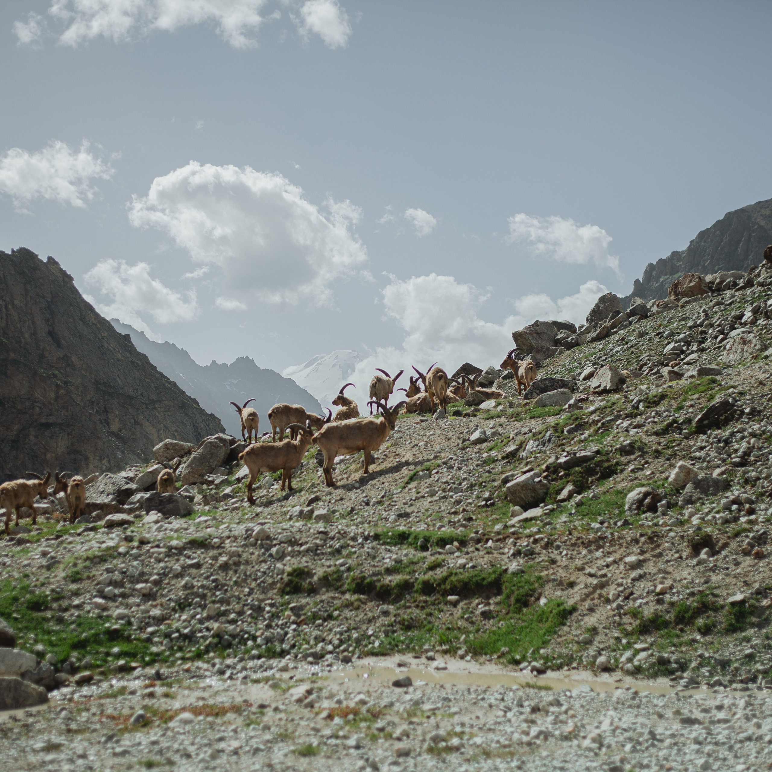 Восхождение на Эльбрус. Июнь 2024. Уникальные экспедиции — LUCKY CLAN