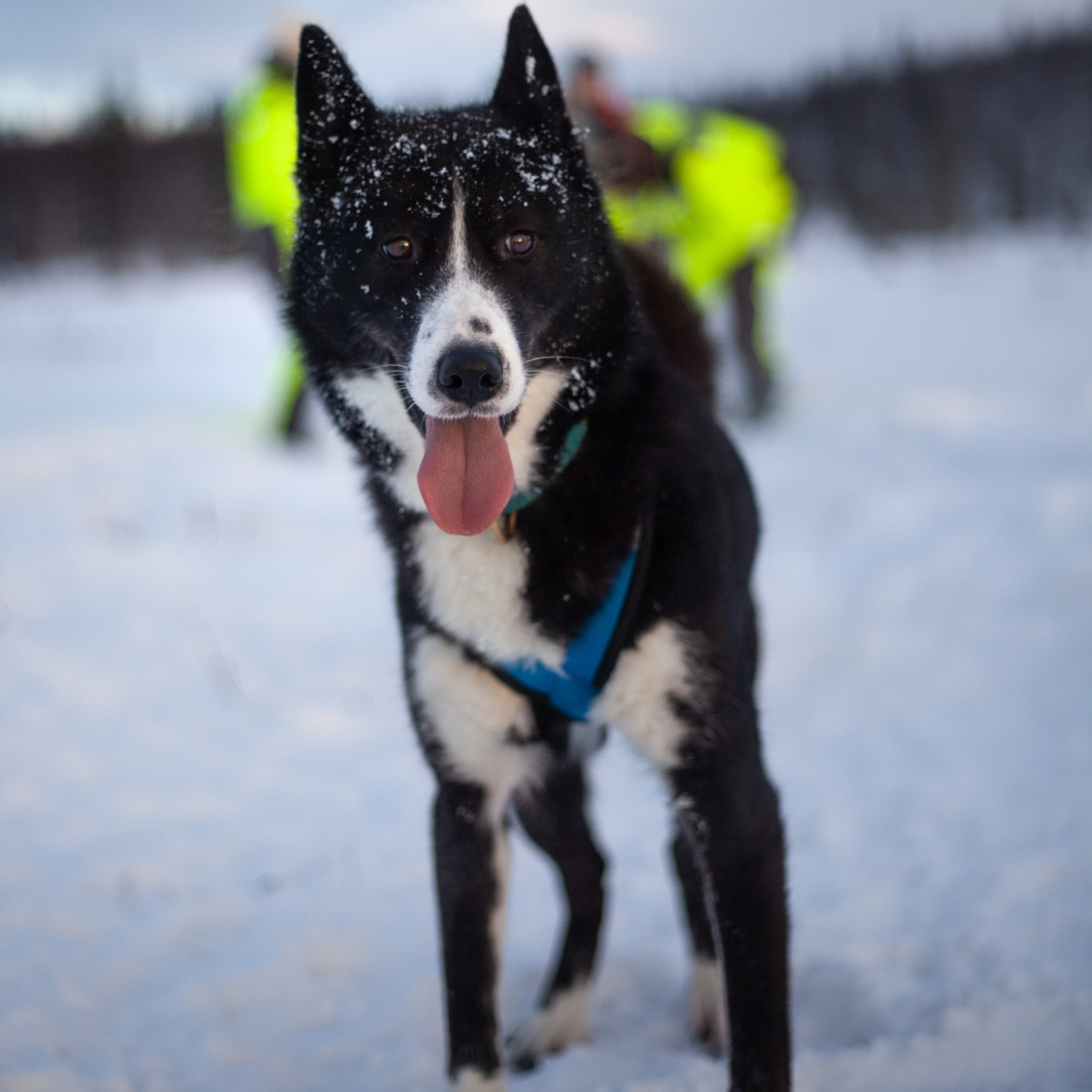 Териберка. Ноябрь 2023. Уникальные экспедиции — LUCKY CLAN