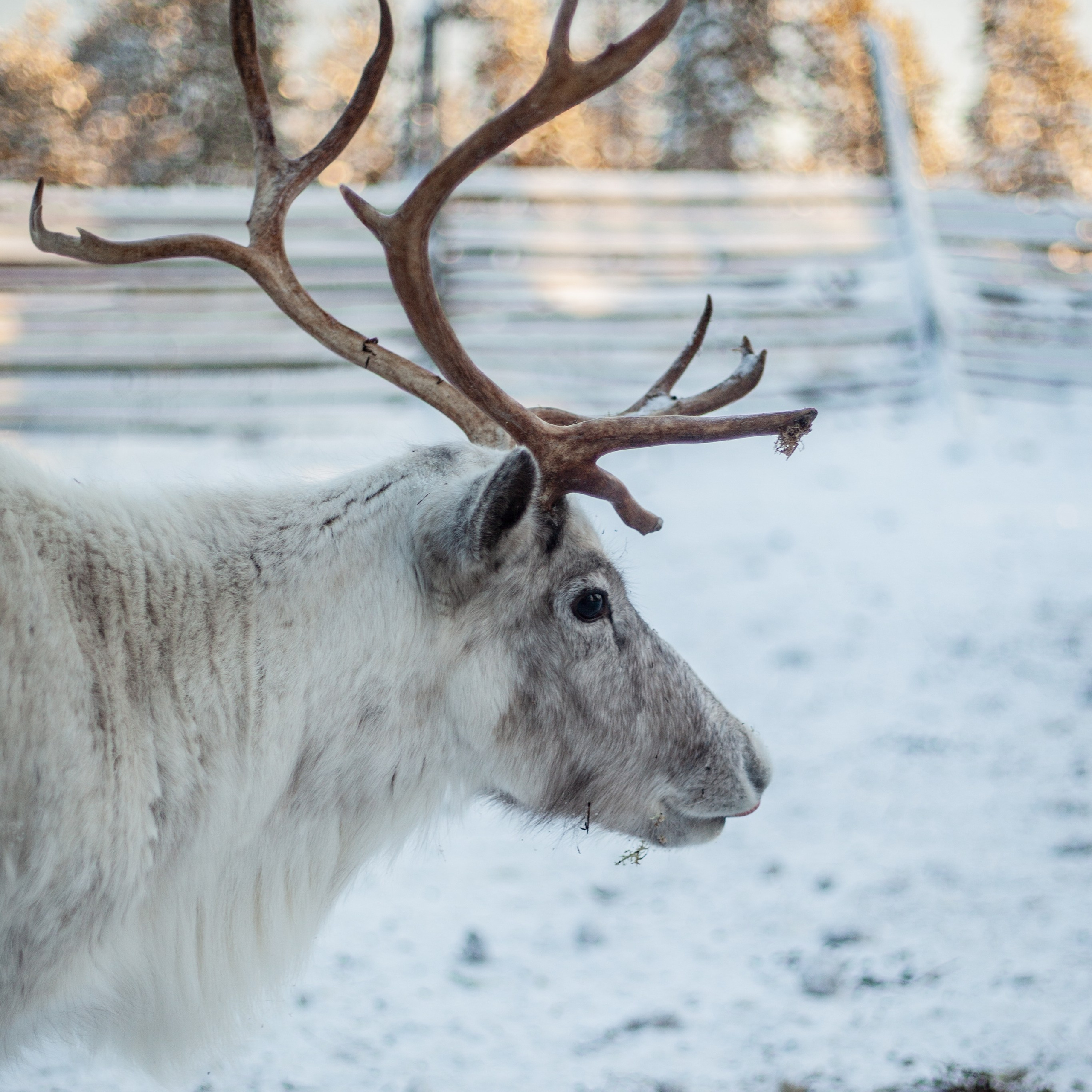 Териберка. Ноябрь 2023. Уникальные экспедиции — LUCKY CLAN