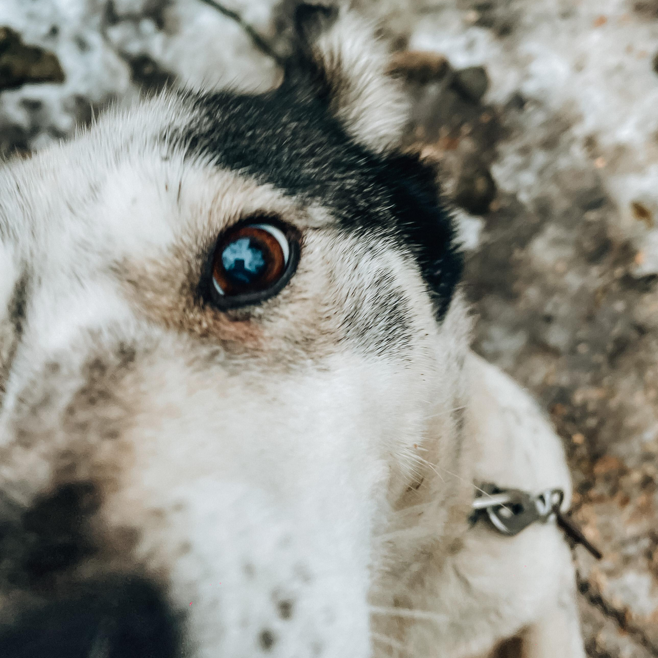 Путешествие по Териберке. Северное сияние. Уникальные экспедиции — LUCKY CLAN