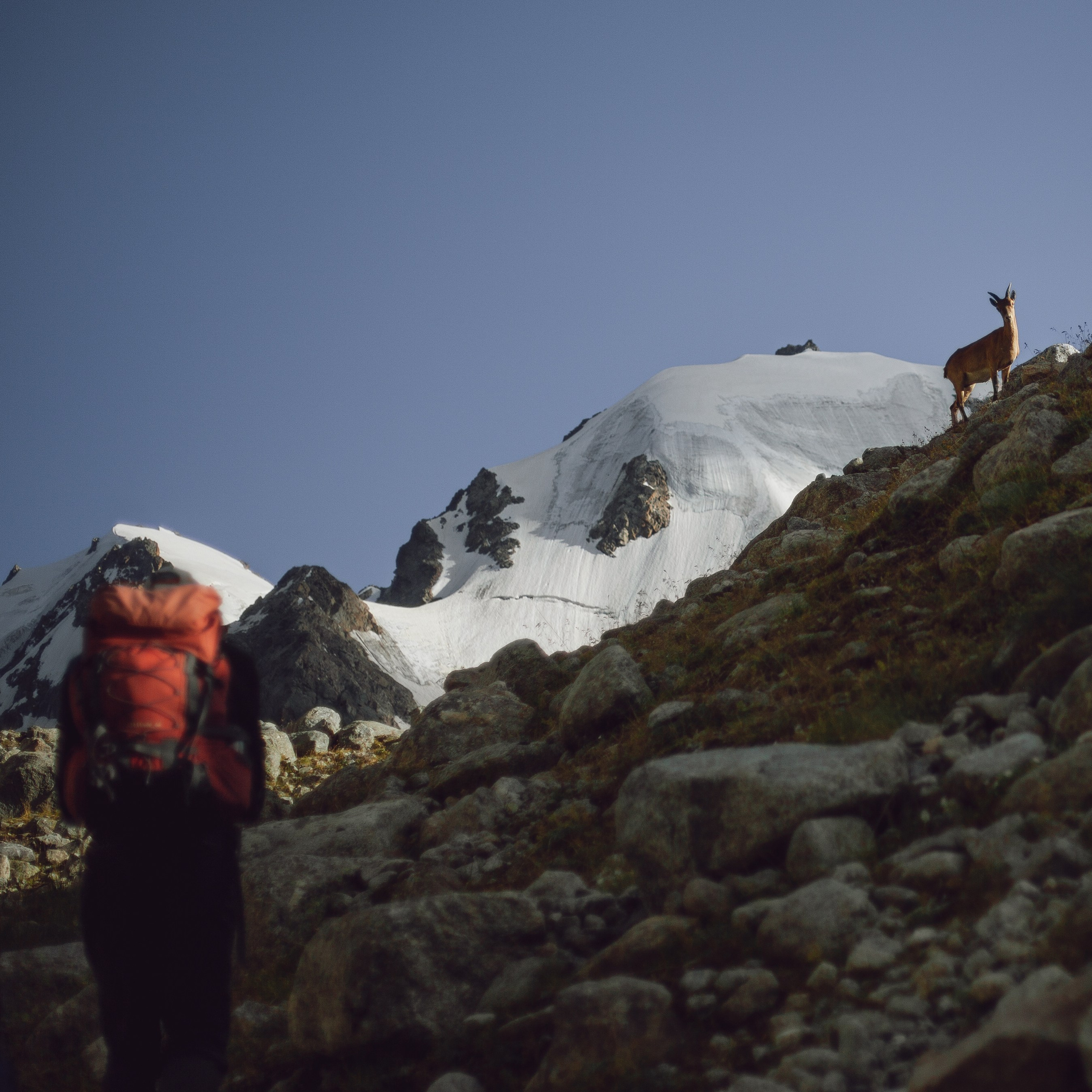 * Акклиматизация в «Адыр-Су».* Восхождение на Эльбрус с юга с опытными гидами.* Качественное снаряжение.* Незабываемые впечатления и потрясающие виды.