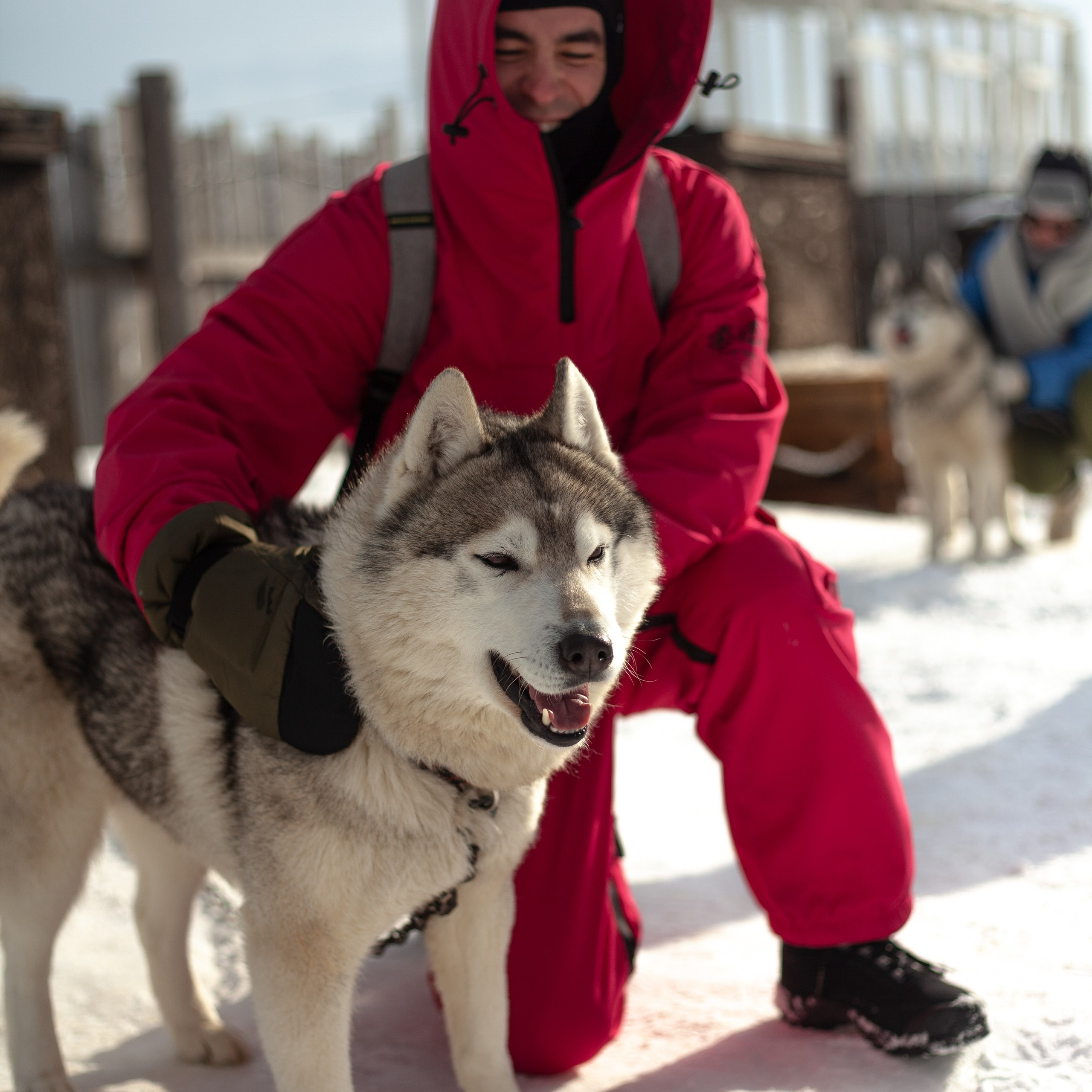 Териберка. Март 2024. Уникальные экспедиции — LUCKY CLAN