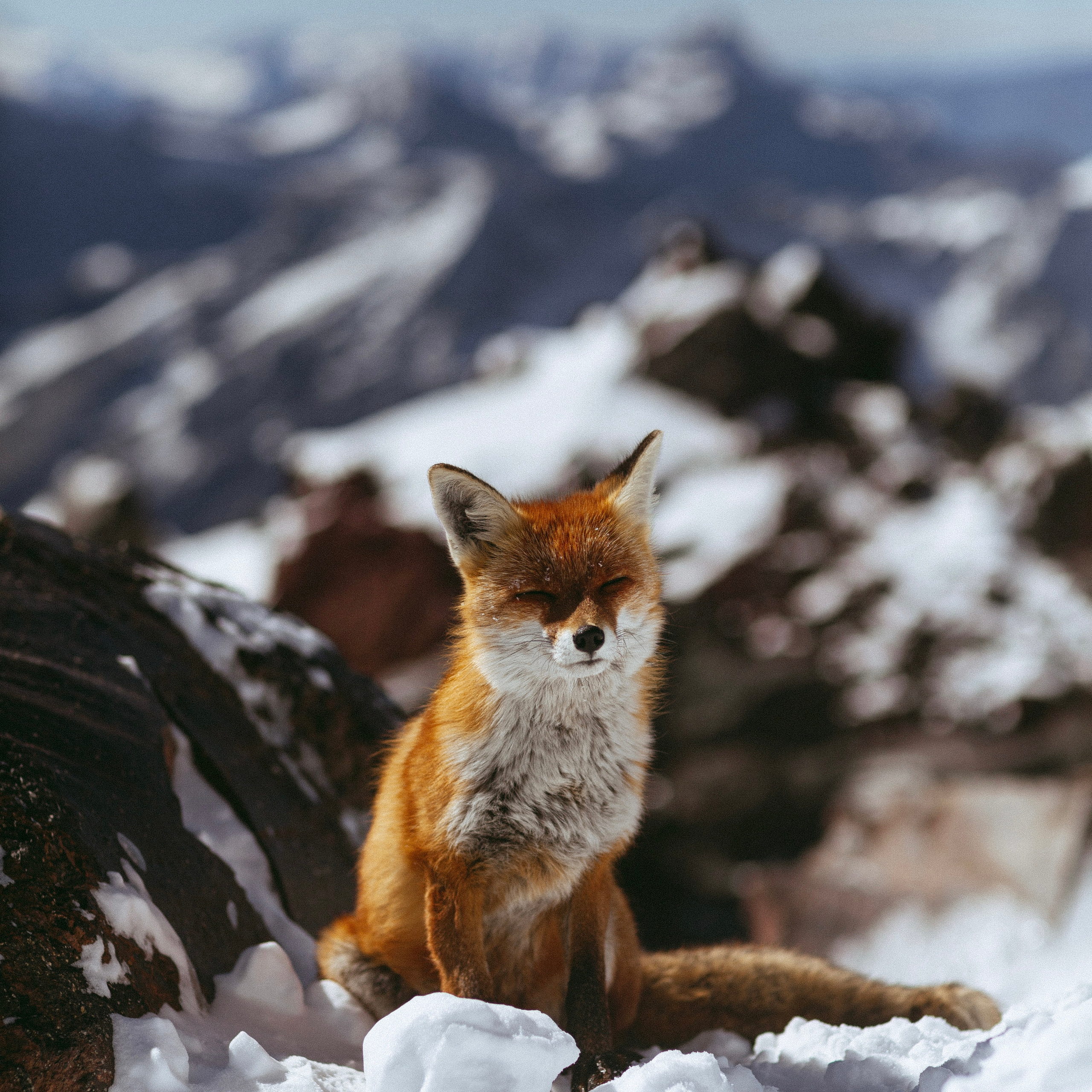 Восхождение на Эльбрус с юга. Уникальные экспедиции — LUCKY CLAN