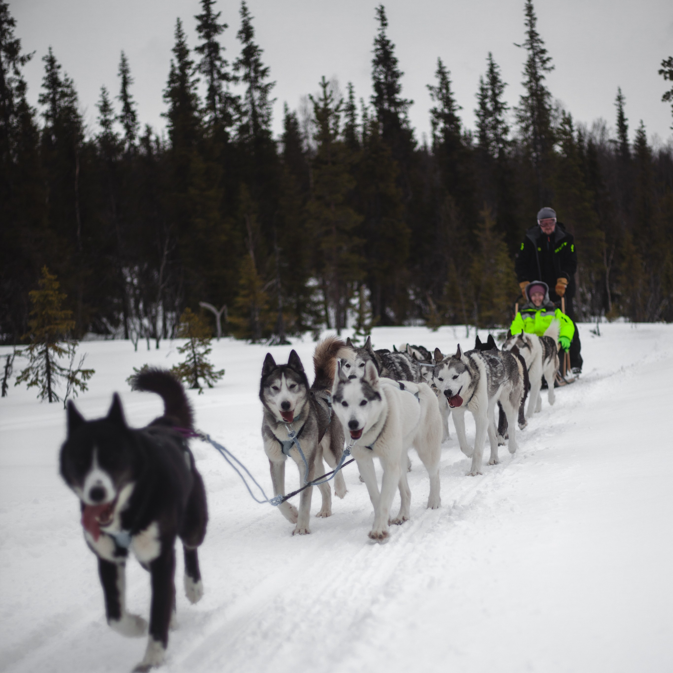 Териберка. Март 2024. Уникальные экспедиции — LUCKY CLAN