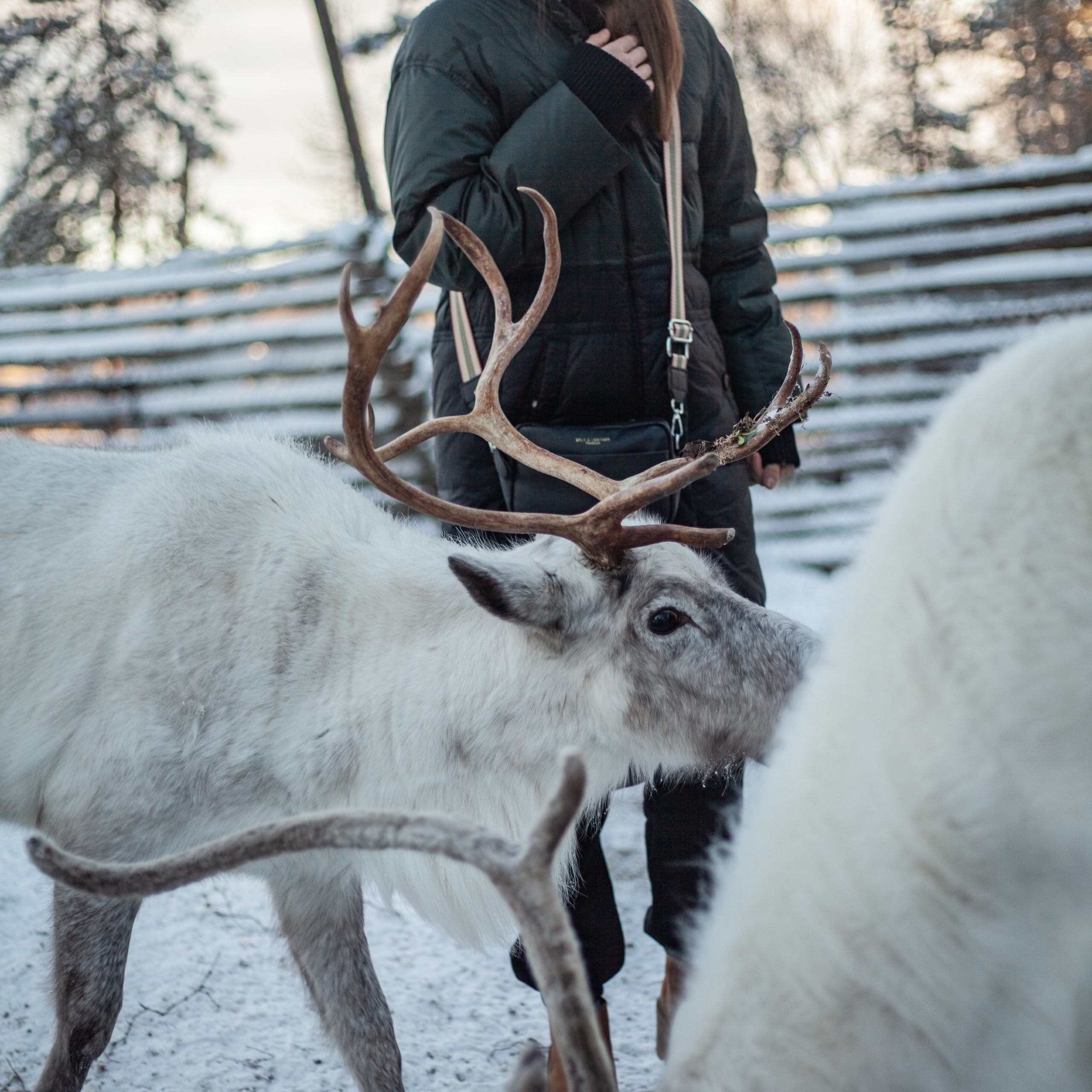 Териберка. Ноябрь 2023. Уникальные экспедиции — LUCKY CLAN