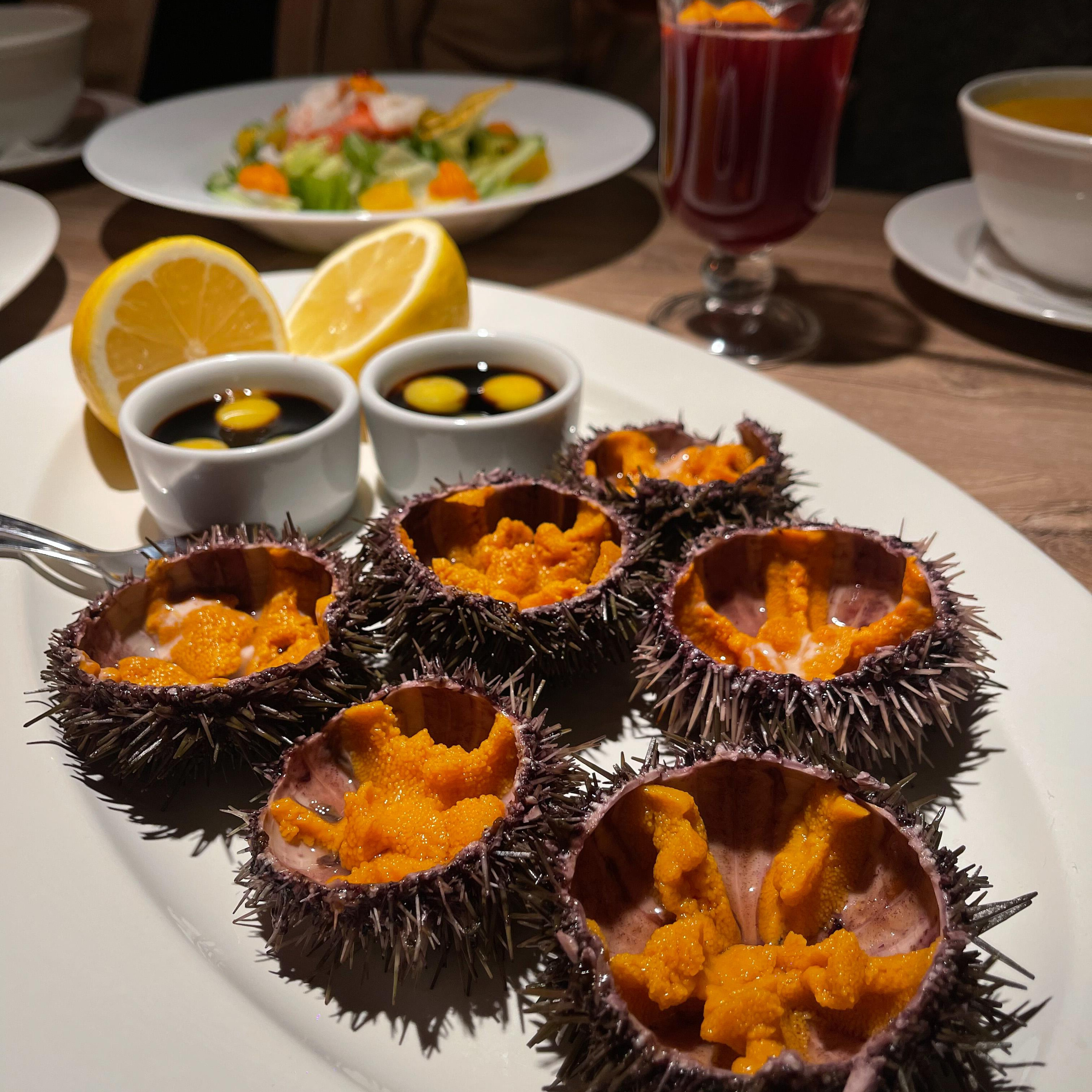 Путешествие по Териберке. Северное сияние. Уникальные экспедиции — LUCKY CLAN