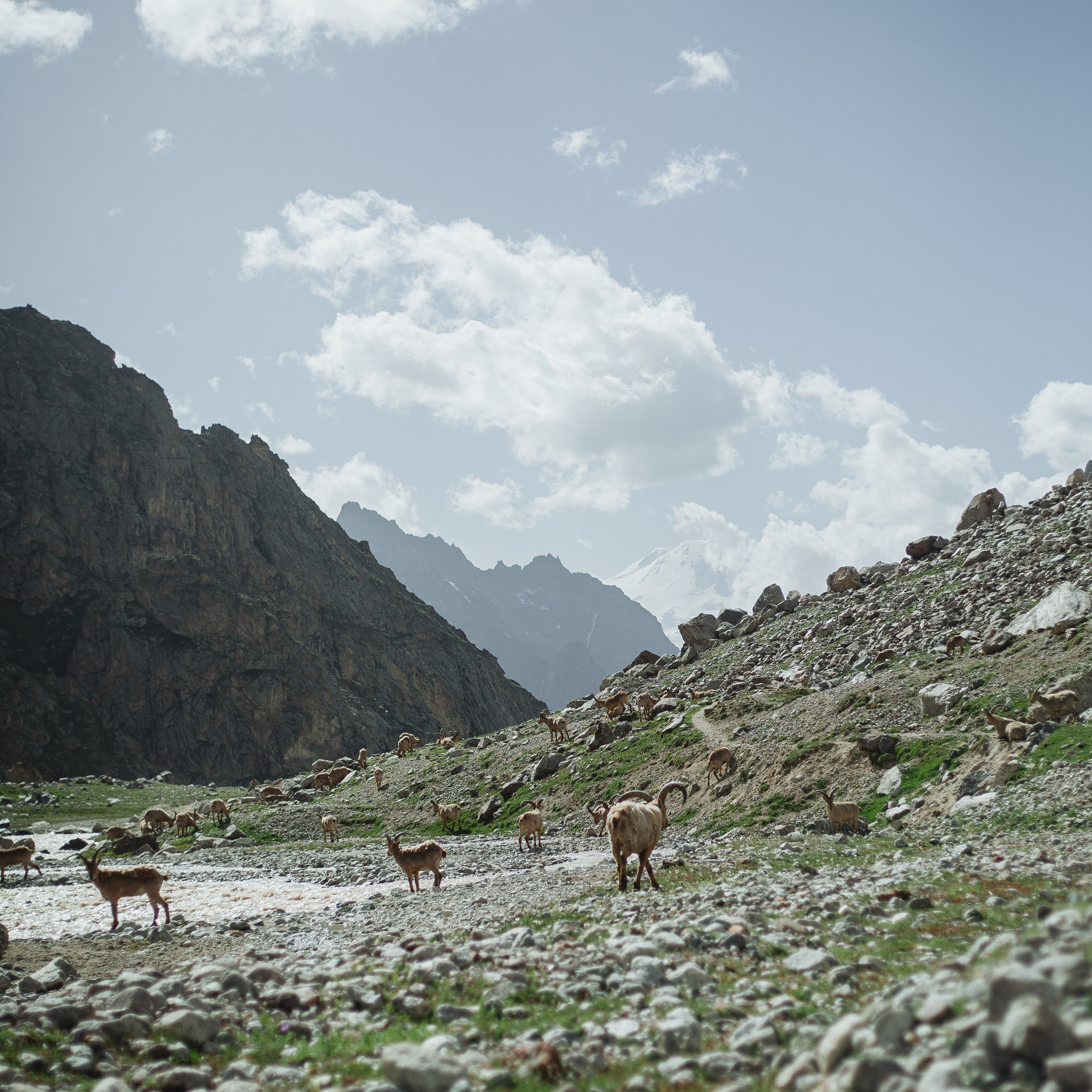 Восхождение на Эльбрус. Июнь 2024. Уникальные экспедиции — LUCKY CLAN