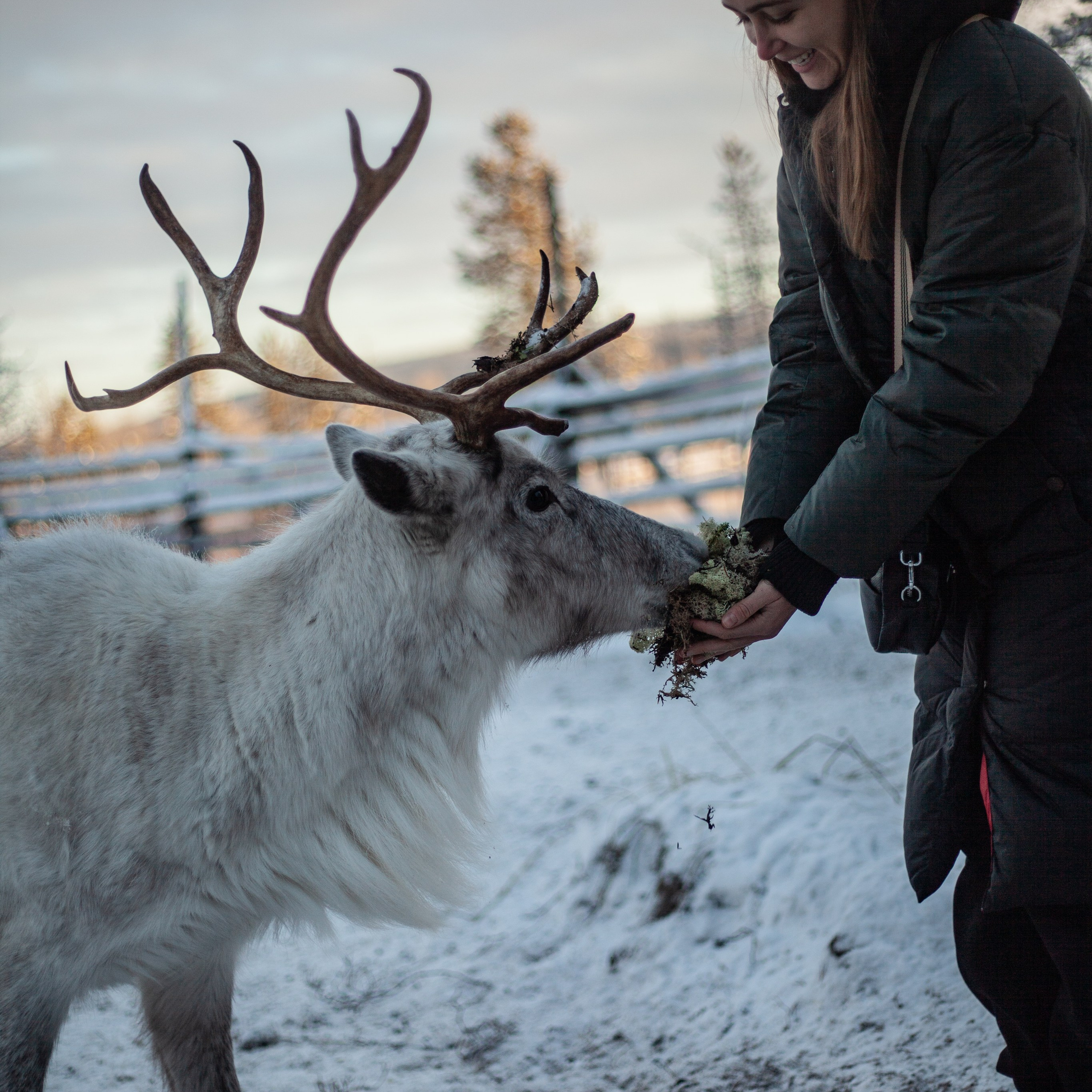 Териберка. Ноябрь 2023. Уникальные экспедиции — LUCKY CLAN