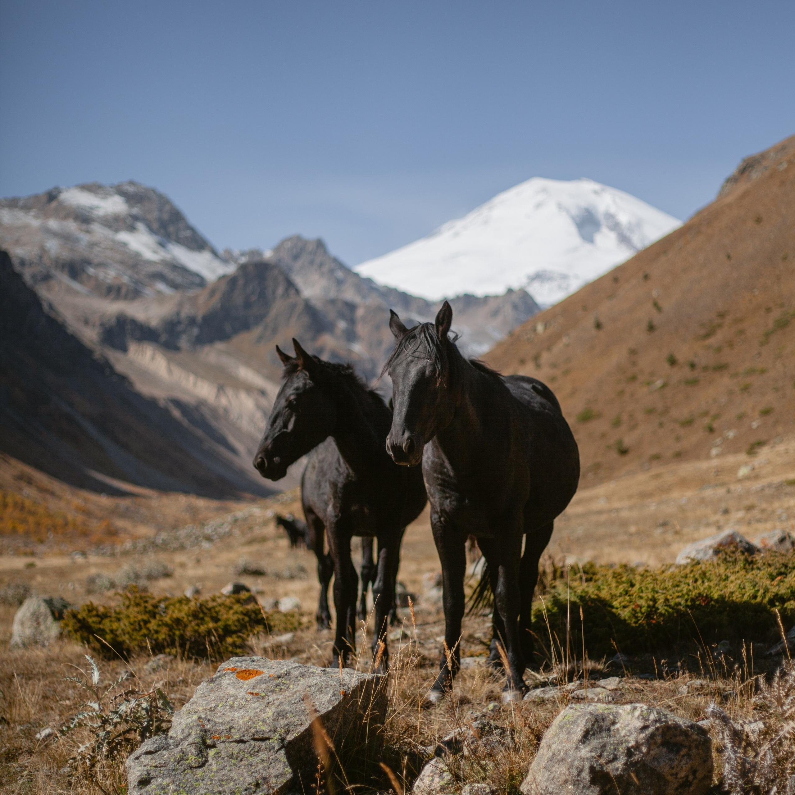 Трекинг Приэльбрусье. Октябрь 2023. Уникальные экспедиции — LUCKY CLAN