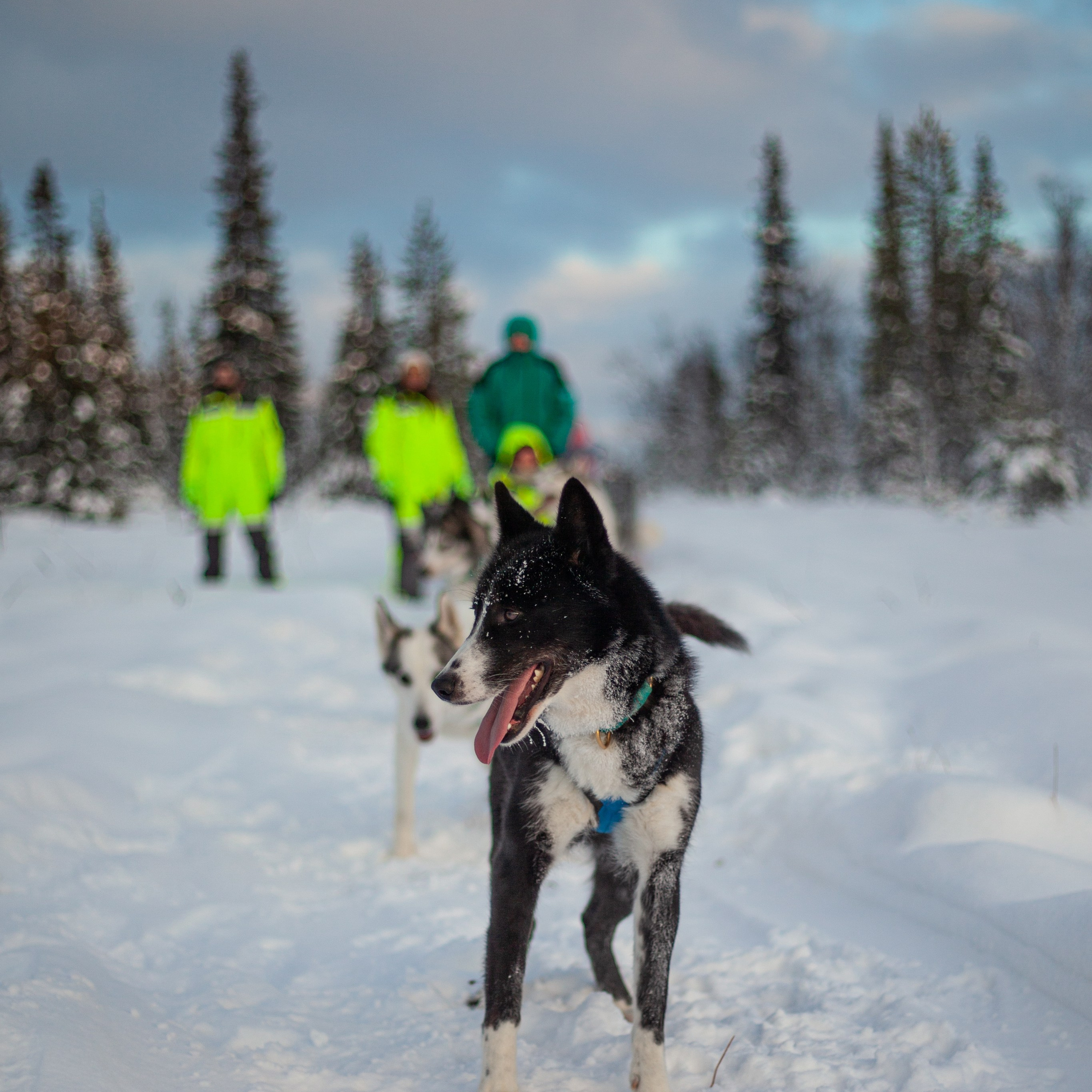 Териберка. Ноябрь 2023. Уникальные экспедиции — LUCKY CLAN