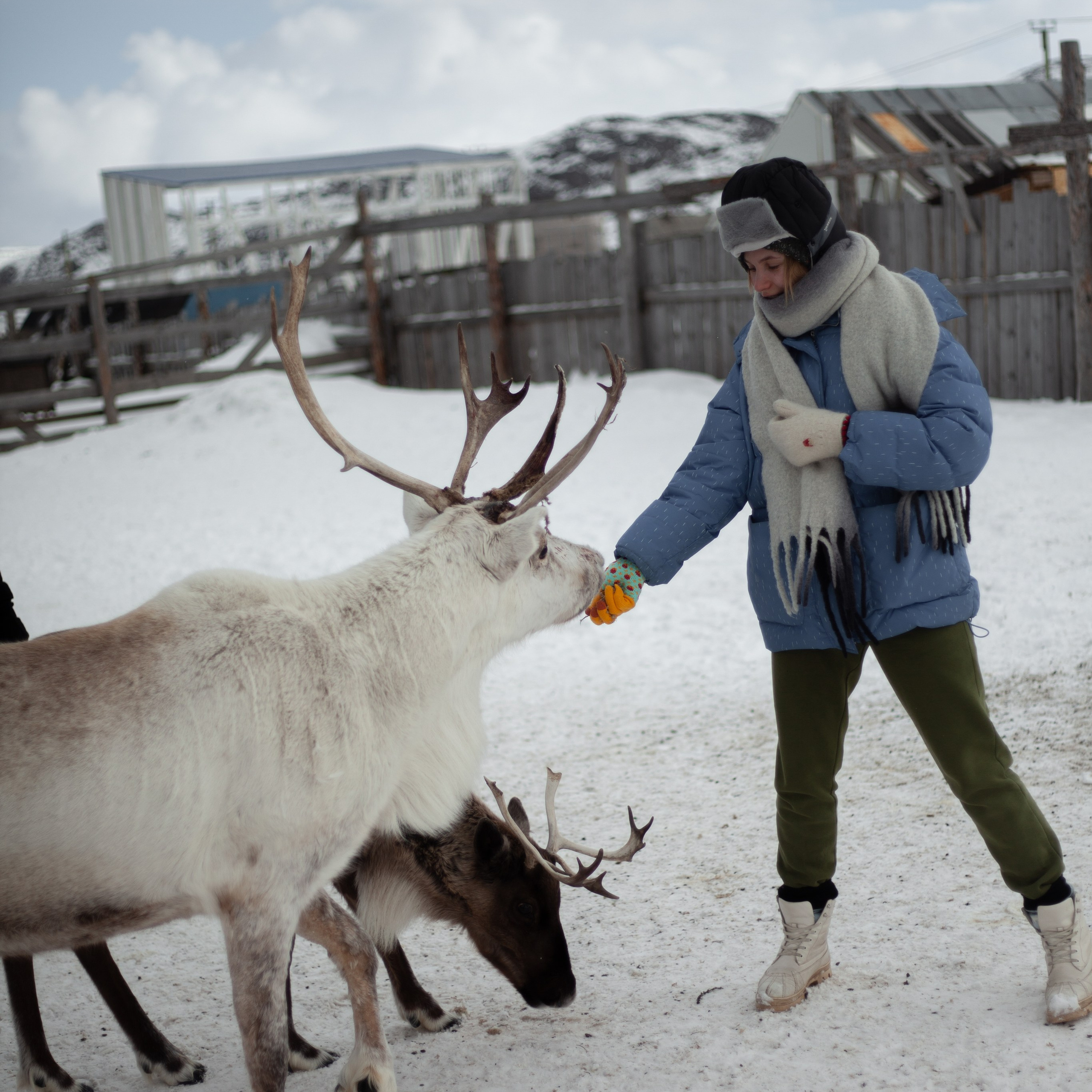 Териберка. Март 2024. Уникальные экспедиции — LUCKY CLAN