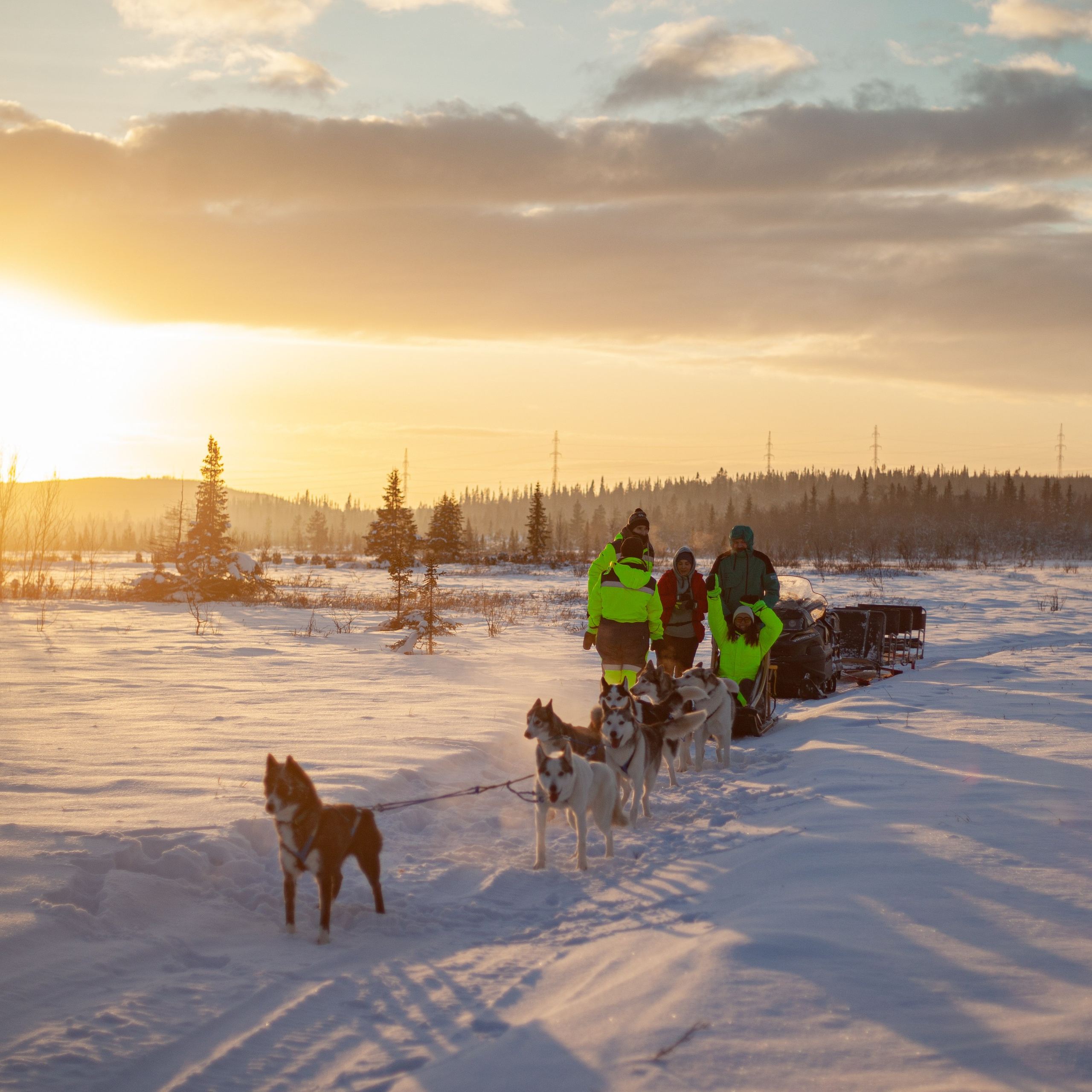 Териберка. Ноябрь 2023. Уникальные экспедиции — LUCKY CLAN