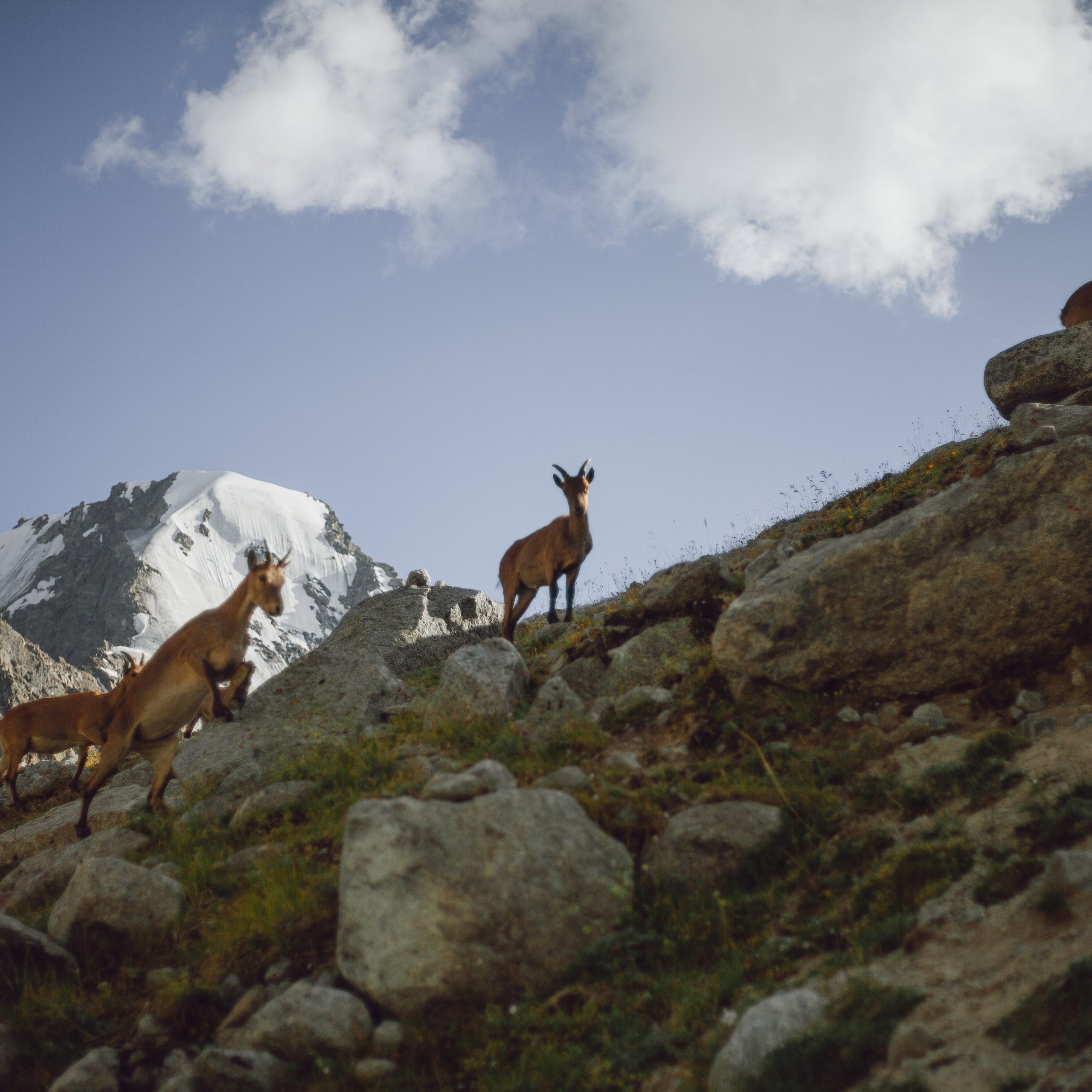 Восхождение на Эльбрус. Август 2023. Уникальные экспедиции — LUCKY CLAN