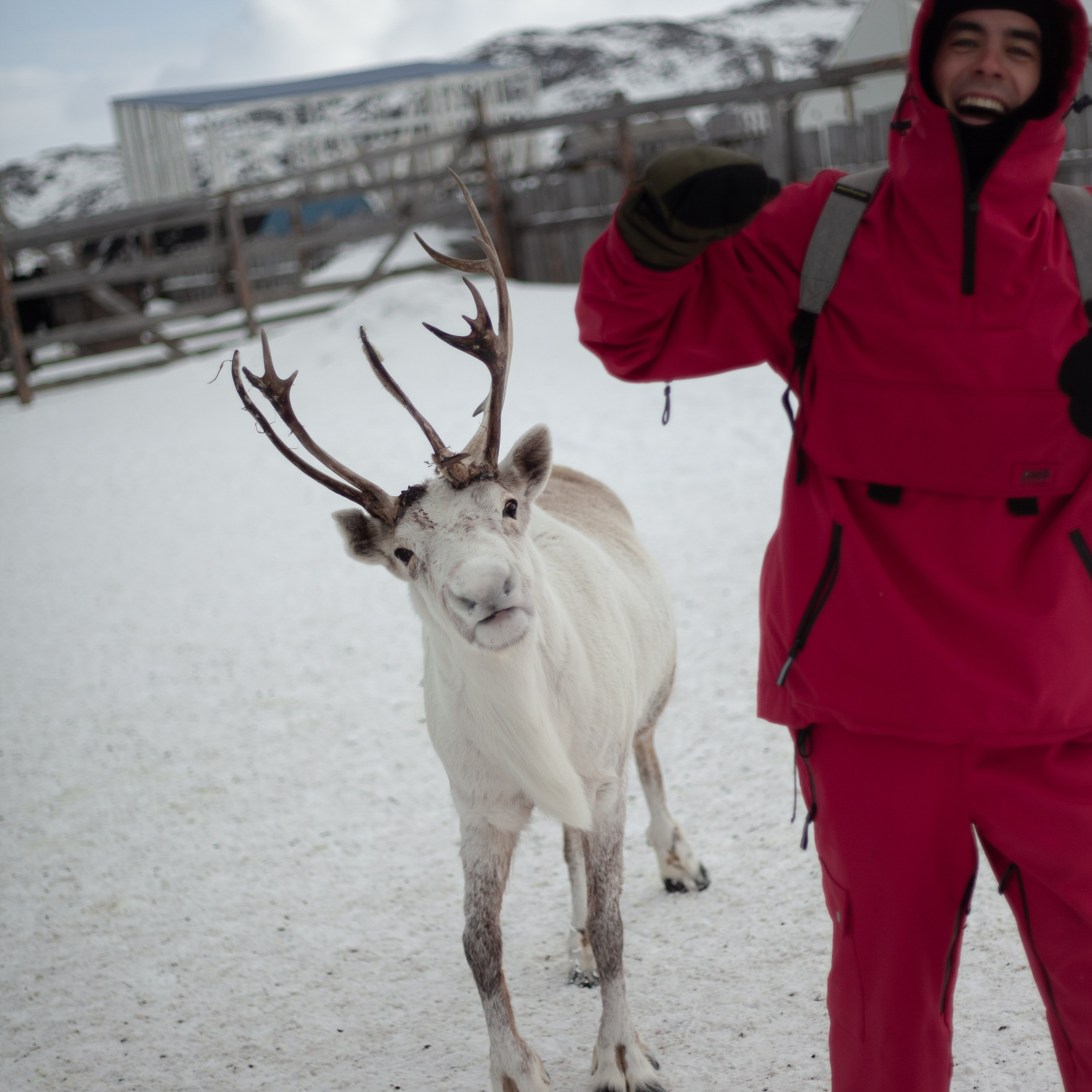 Териберка. Март 2024. Уникальные экспедиции — LUCKY CLAN