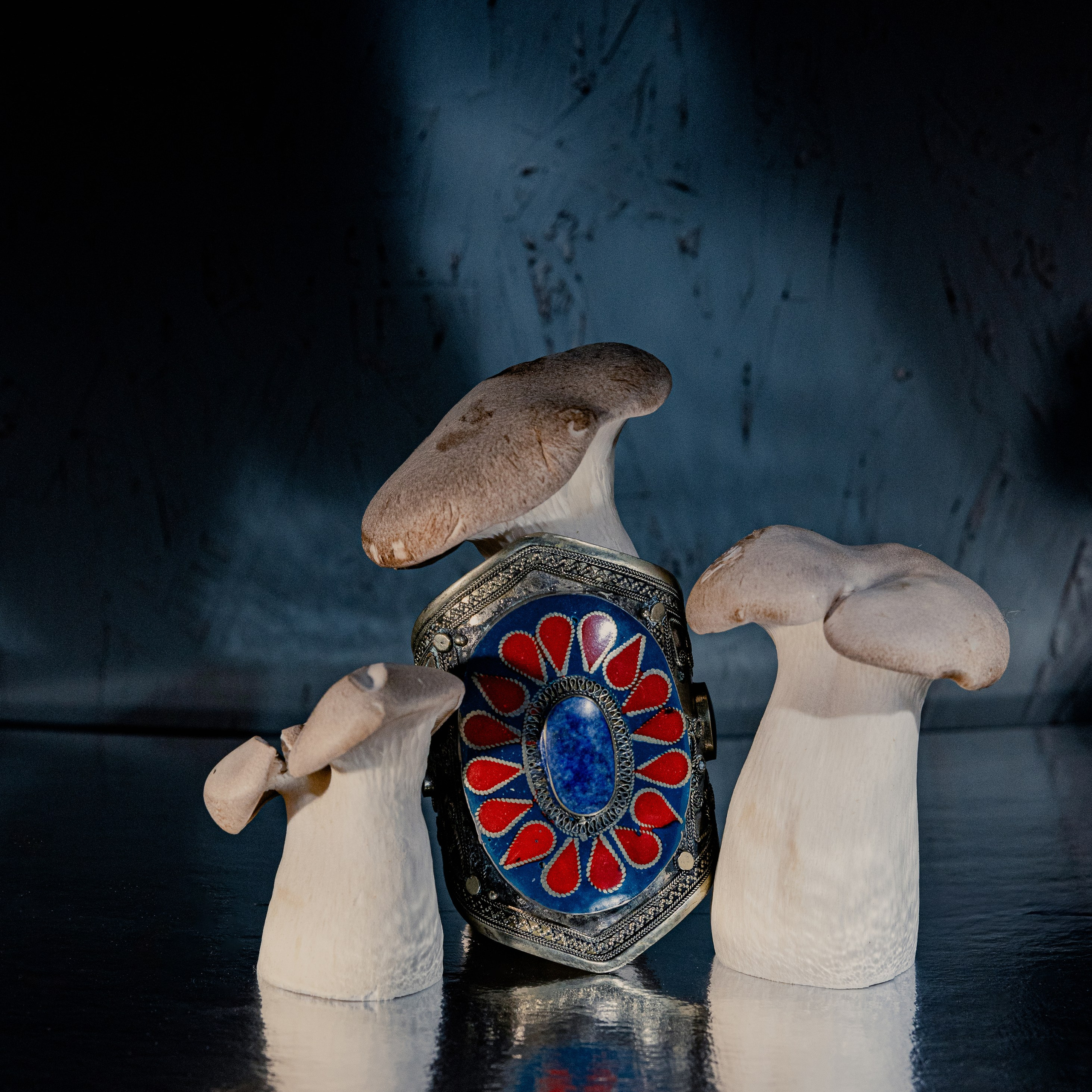 Контакты. Фотограф Тина Бережная