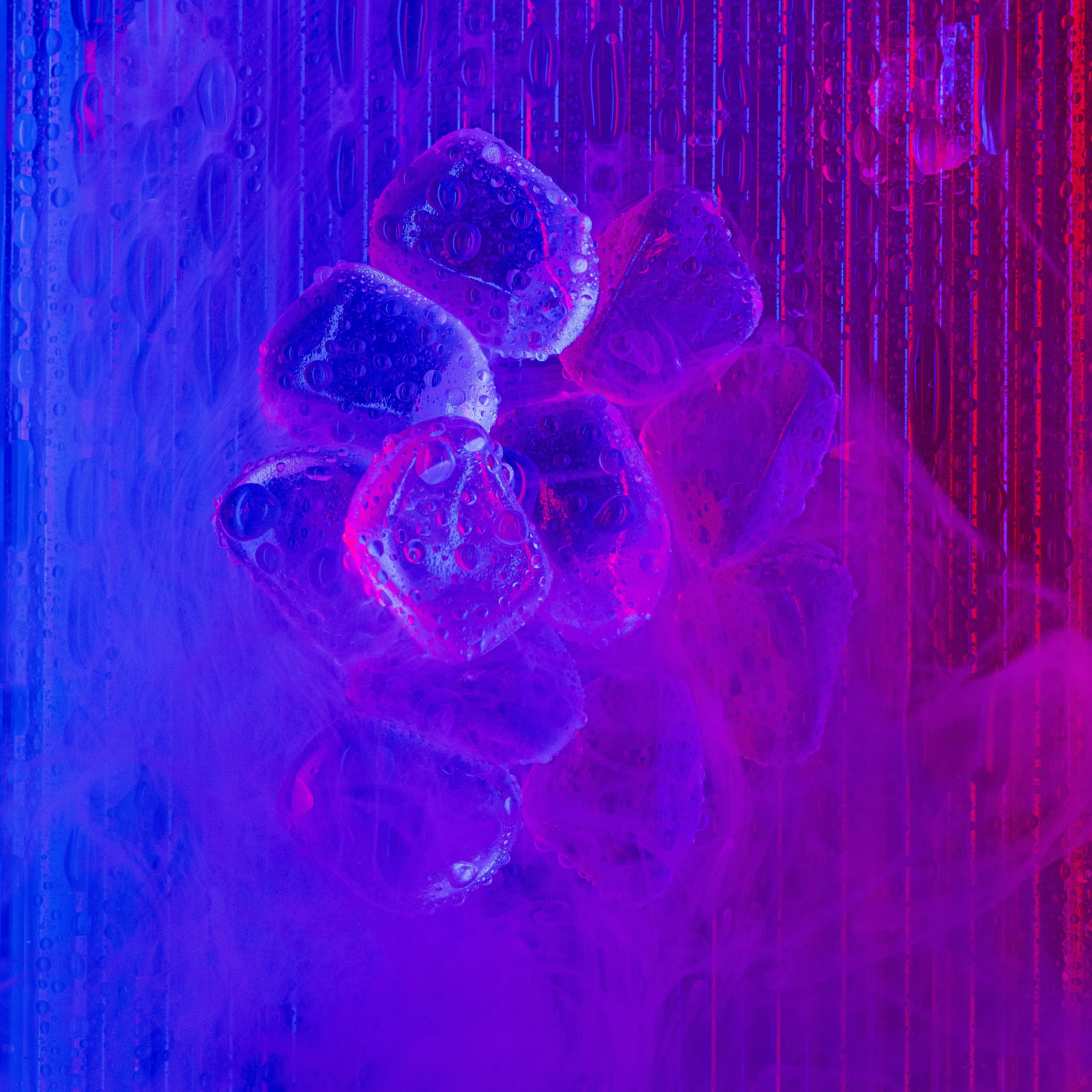 Контакты. Фотограф Тина Бережная