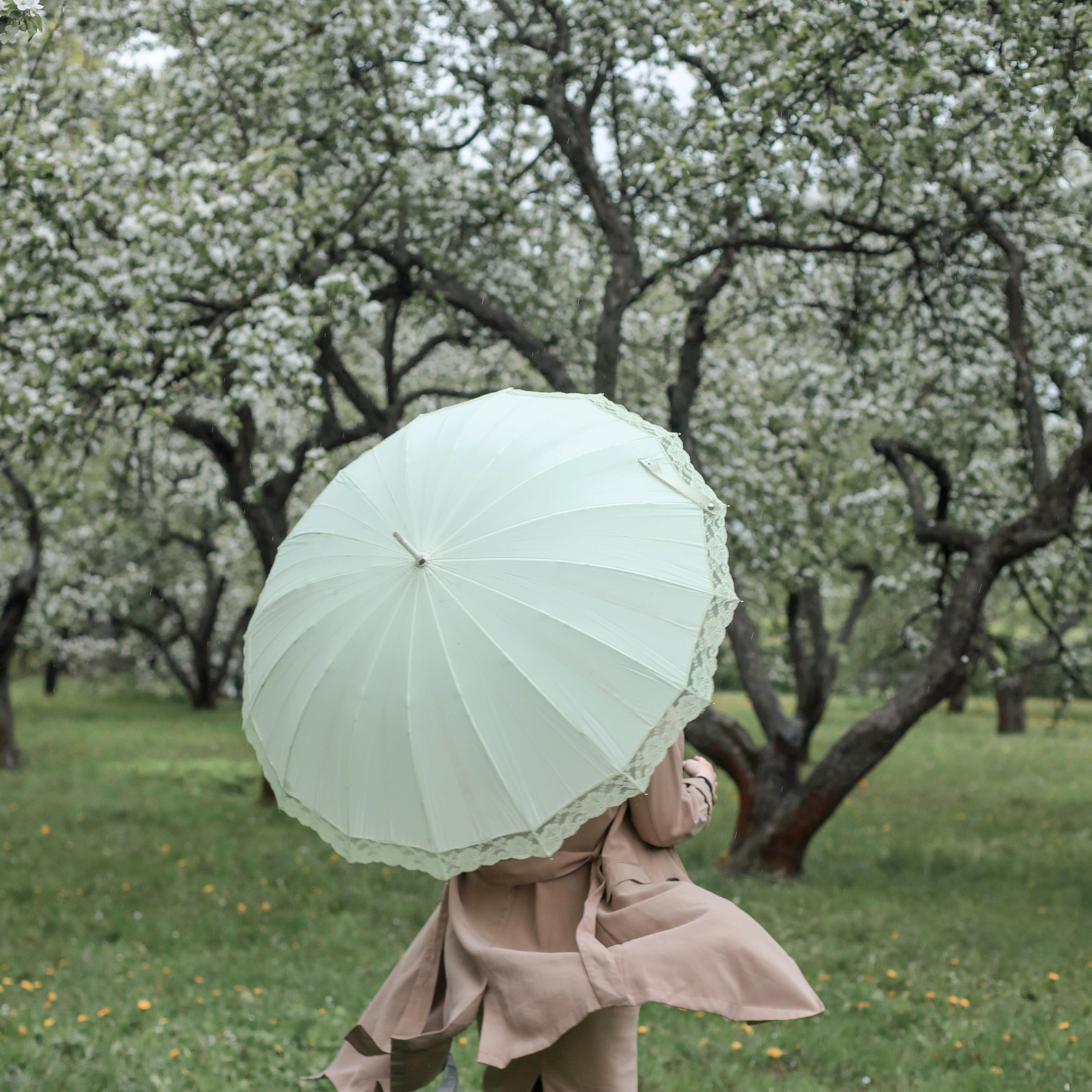 ЦВЕТЕНИЕ ЕКАТЕРИНА