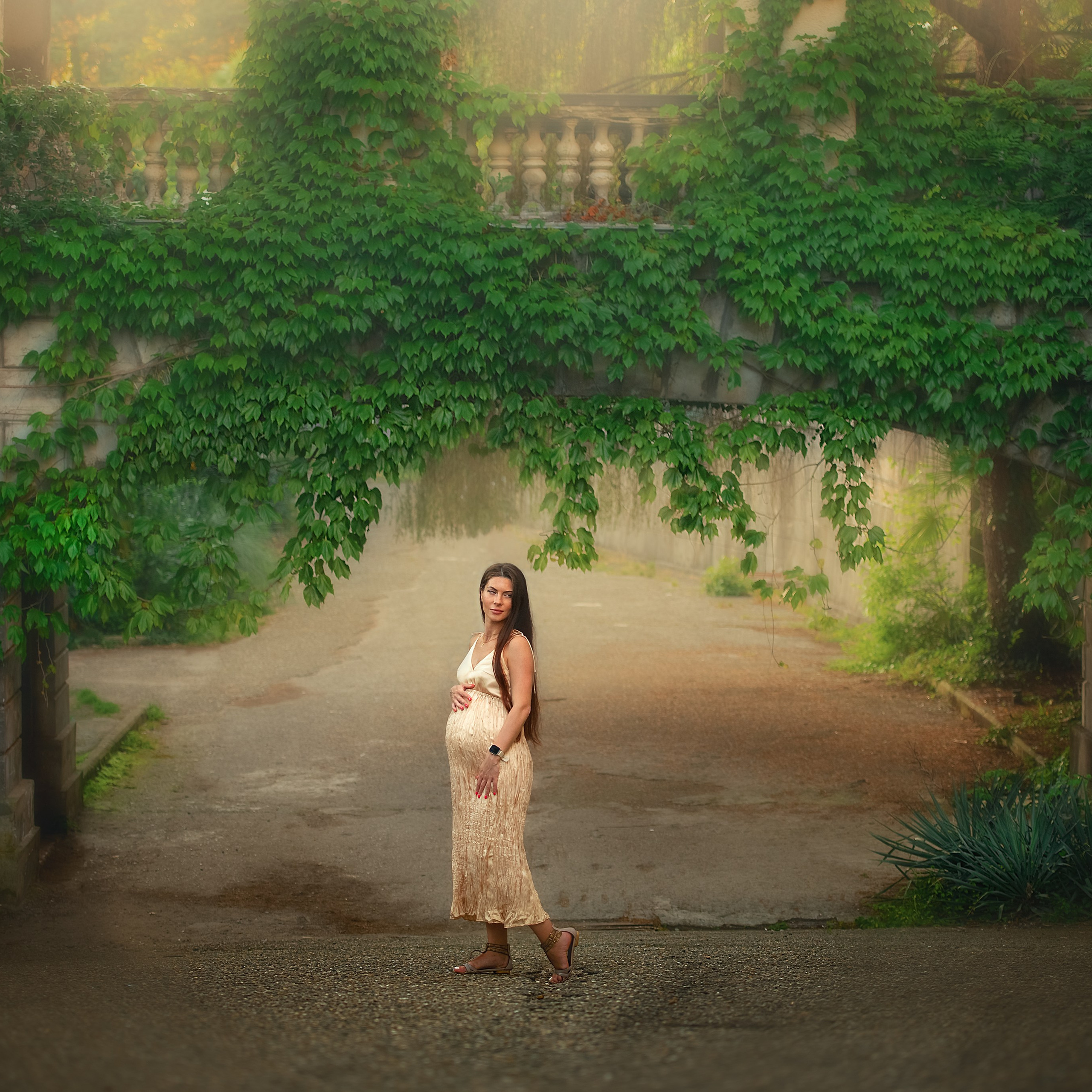 Санаторий Орджоникидзе. Сочи.