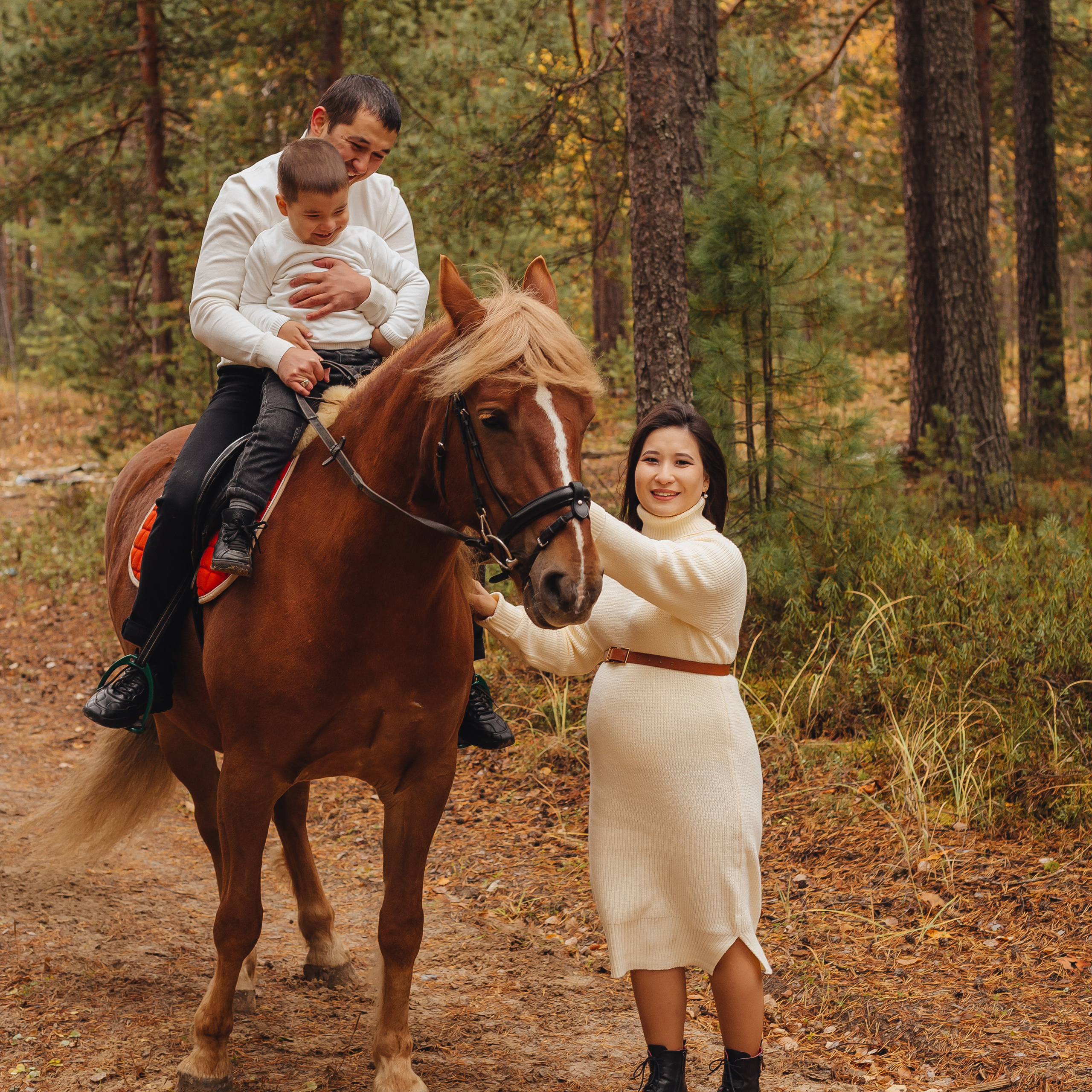 Прогулка с лошадью