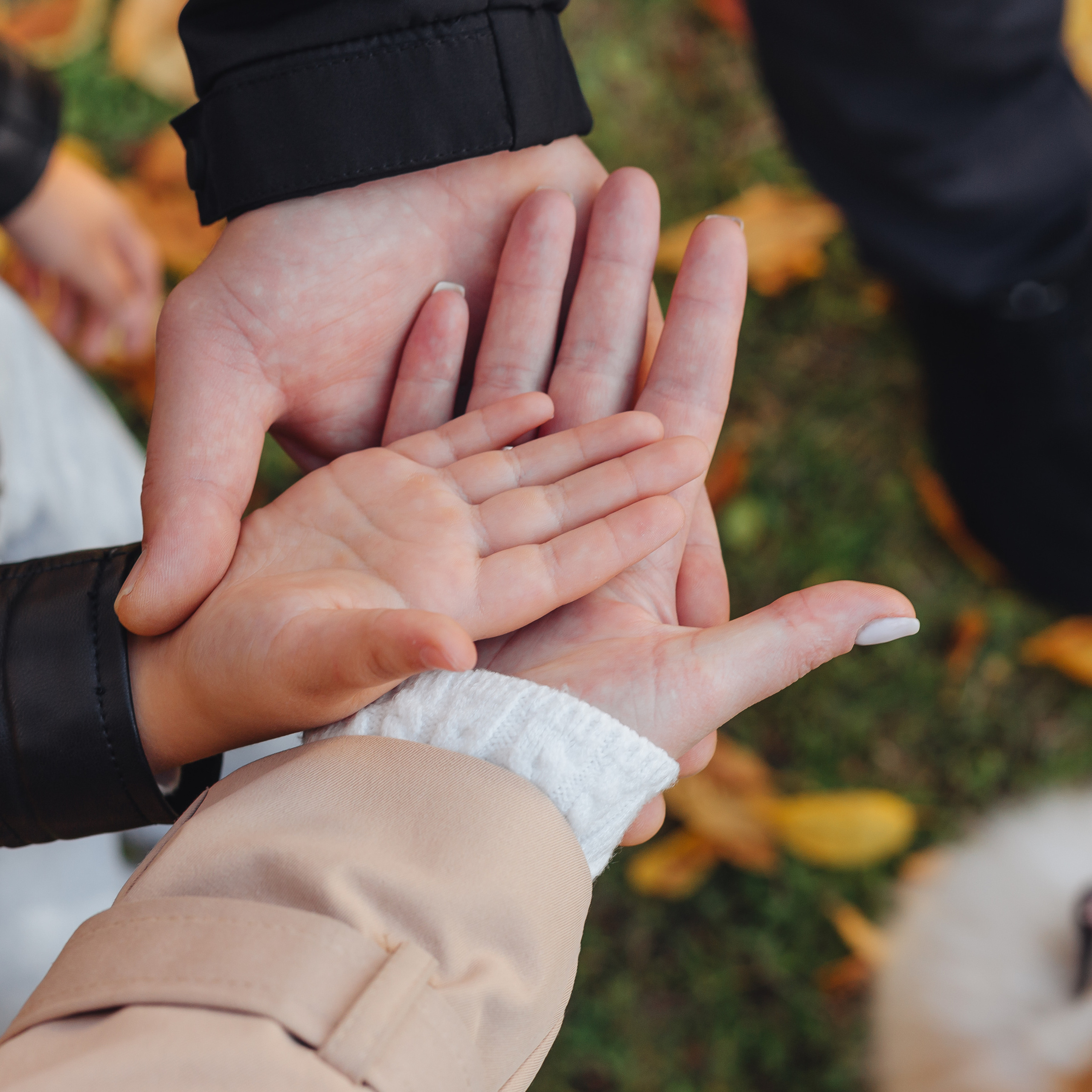 Прогулка в парке. В ожидании🤰