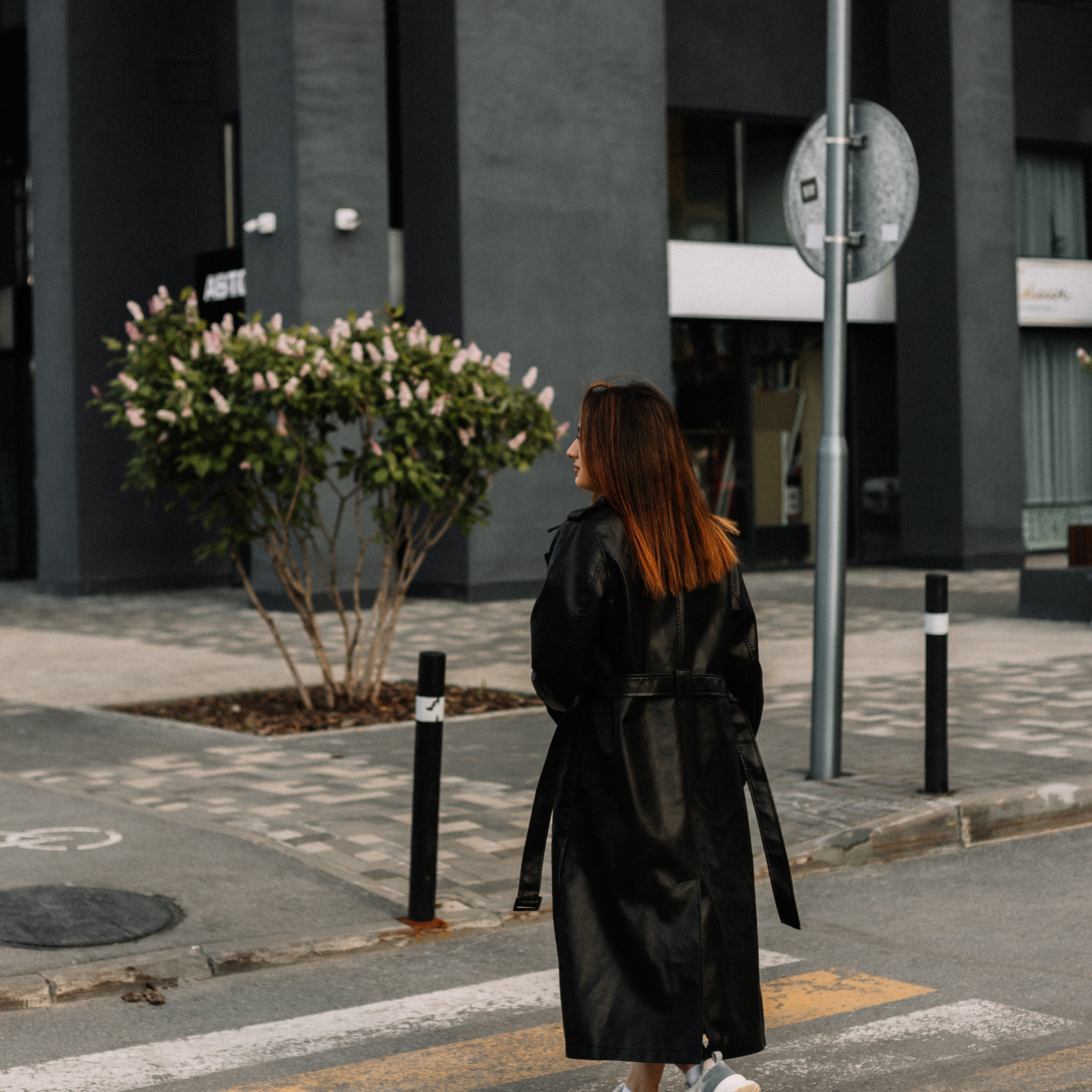 Прогулка. Новин квартал