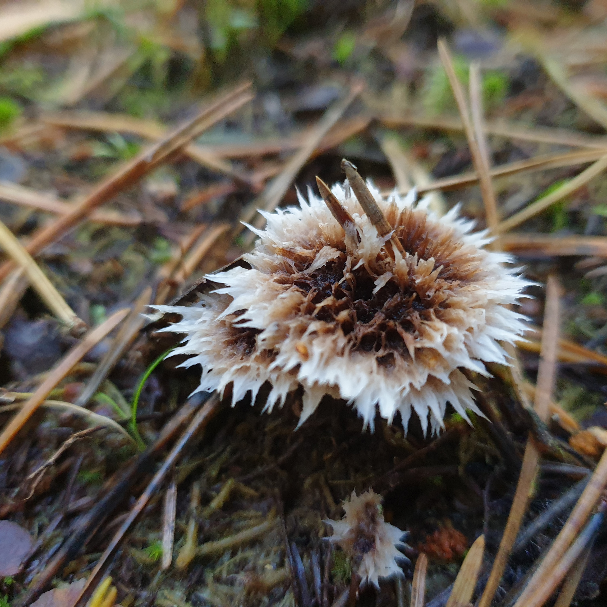 Отзывы. Ретушь и редактирование фотографий Мария Гор