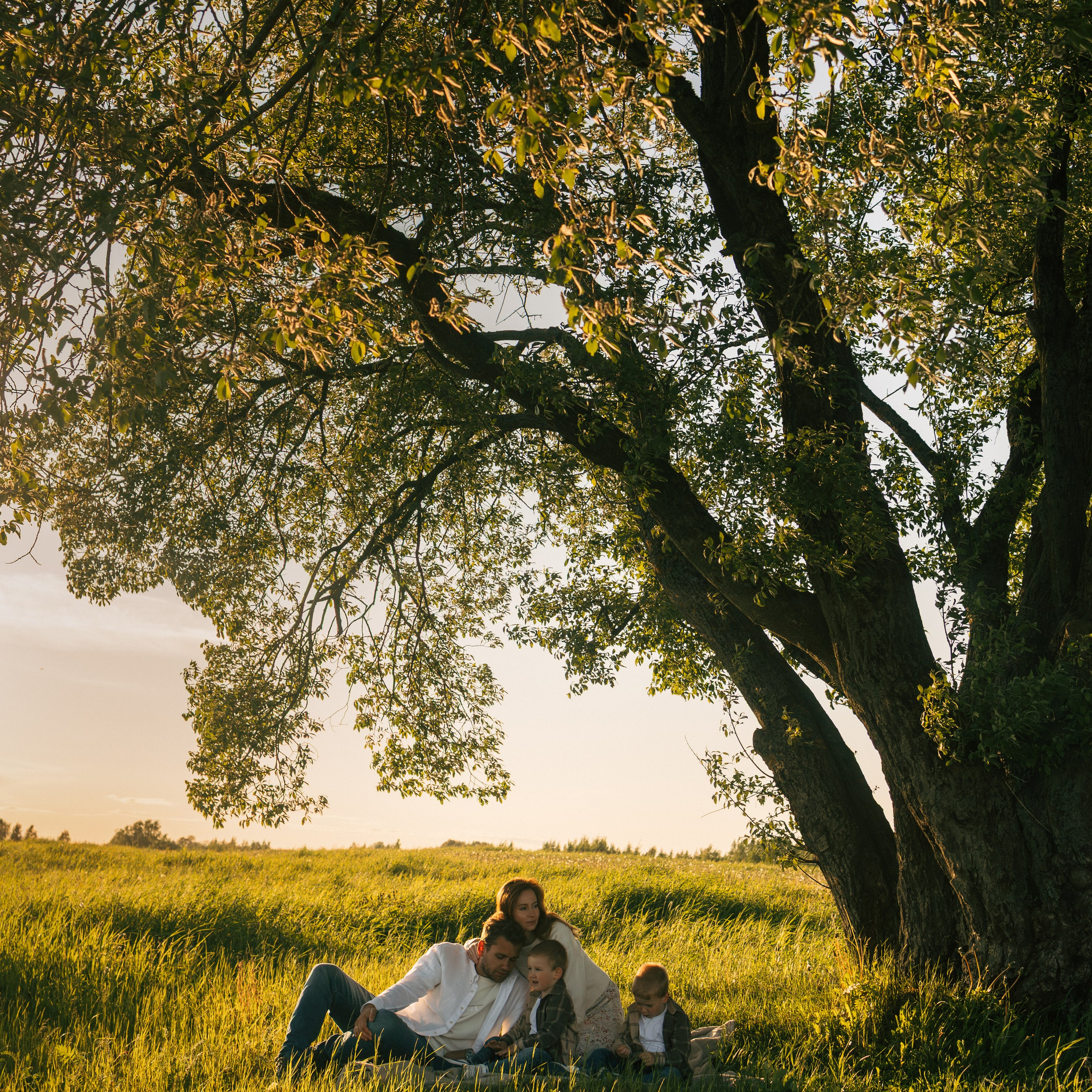 семейная Twins