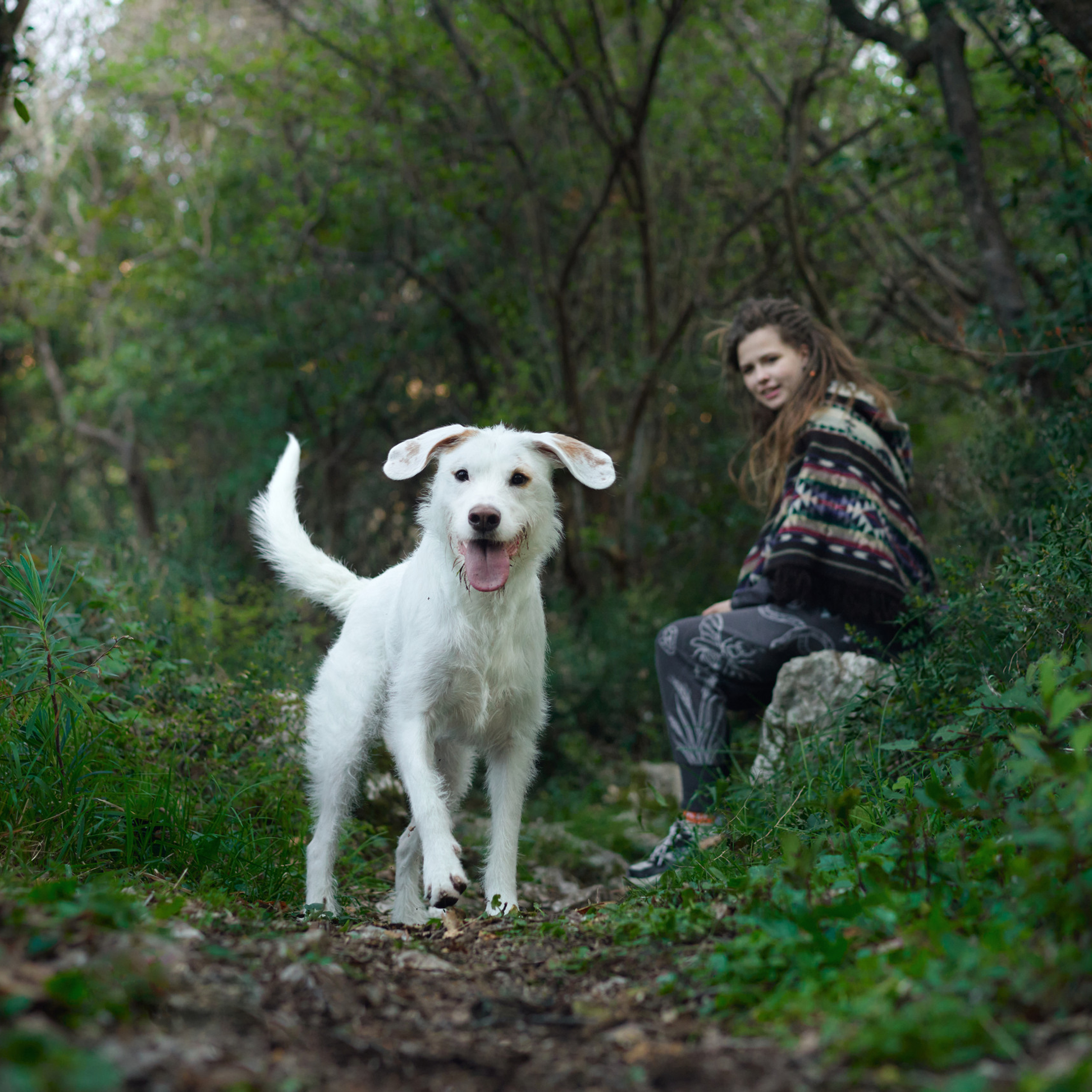 Reviews about the photographer Anna Averianova. Dog photographer from. Dog photographer Averianova Anna — Art photography of dogs